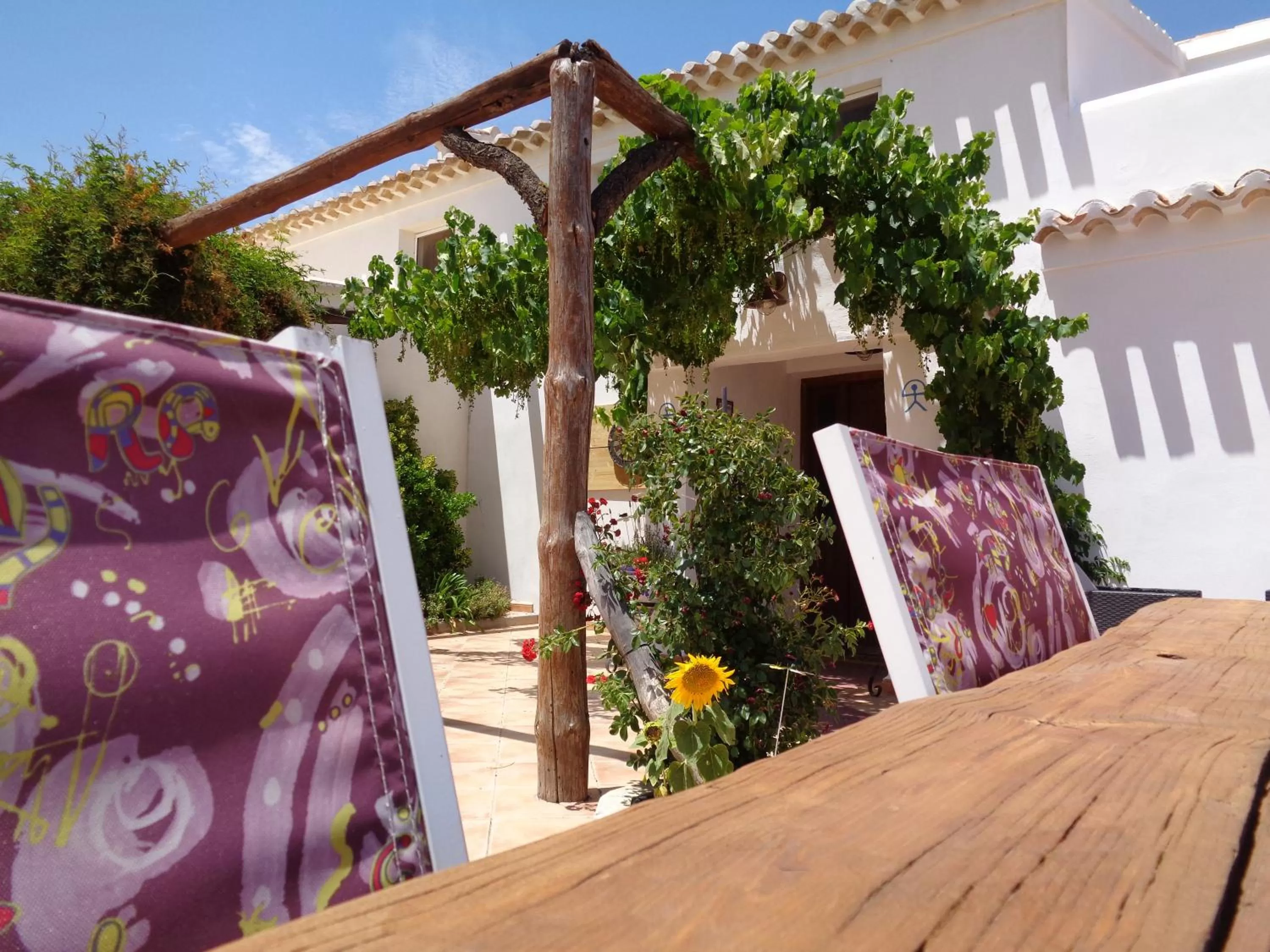 Patio in Las Persianas Azules