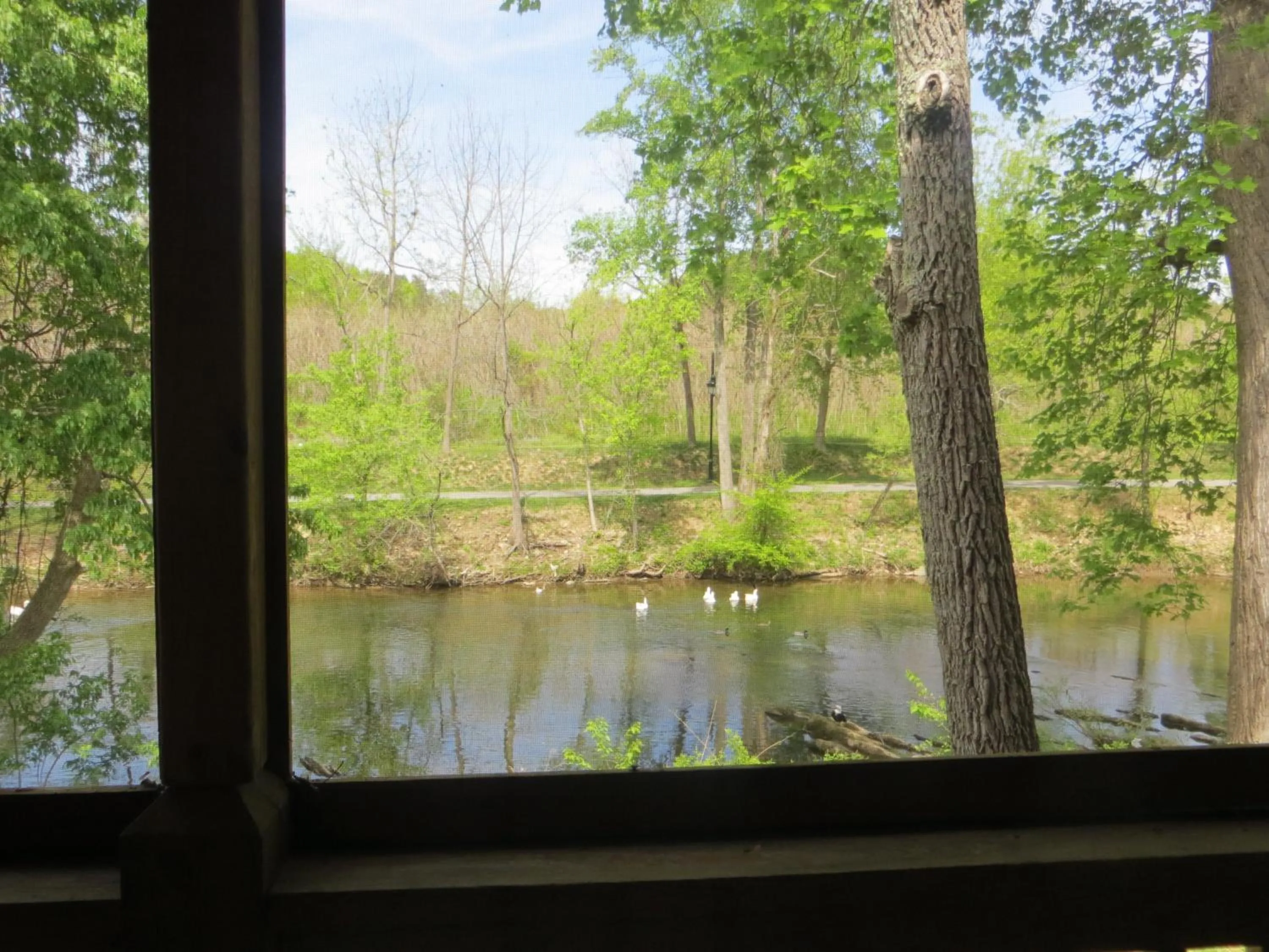 View (from property/room) in River Place Inn