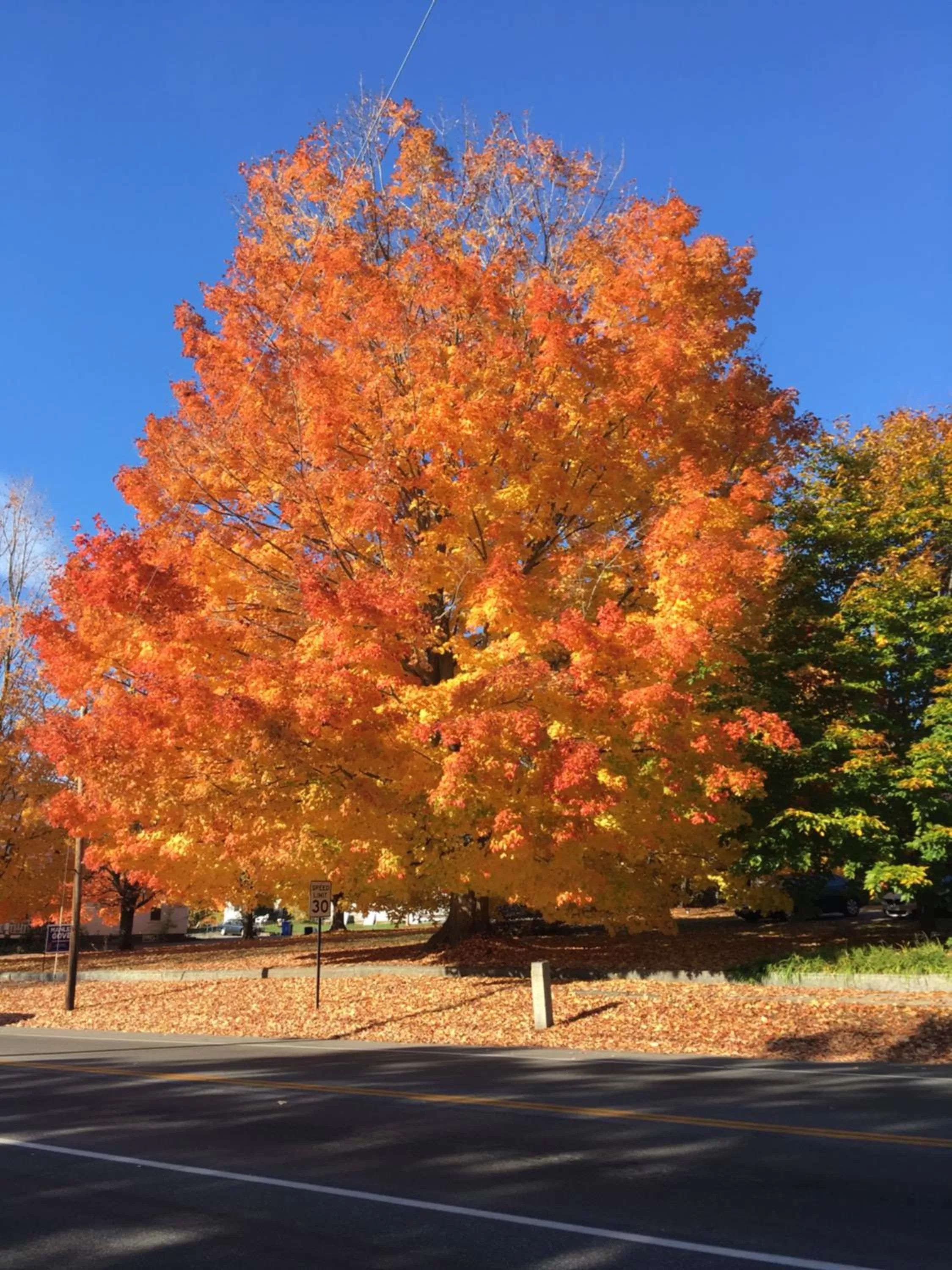 Natural landscape in The Beach Rose Inn