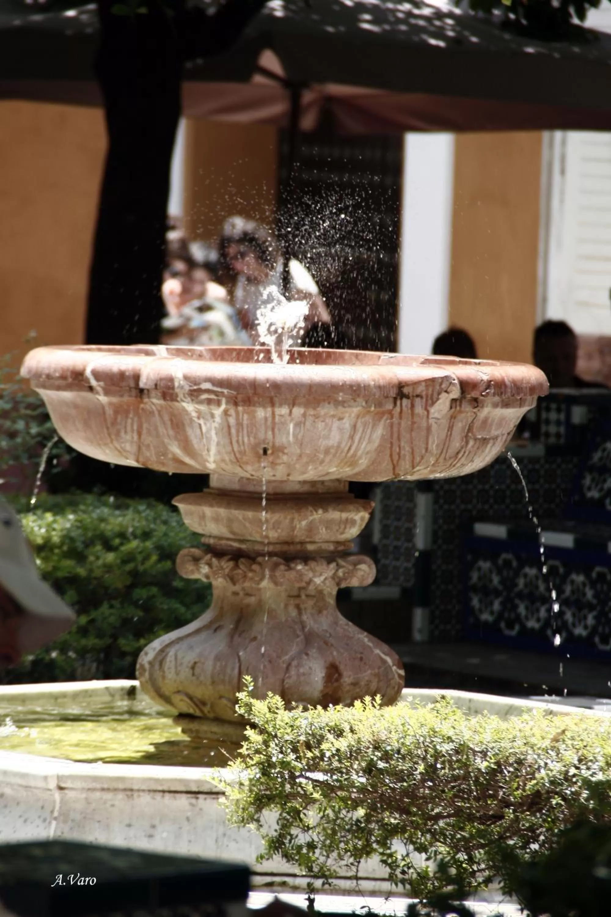 Nearby landmark in Hotel Doña Lina