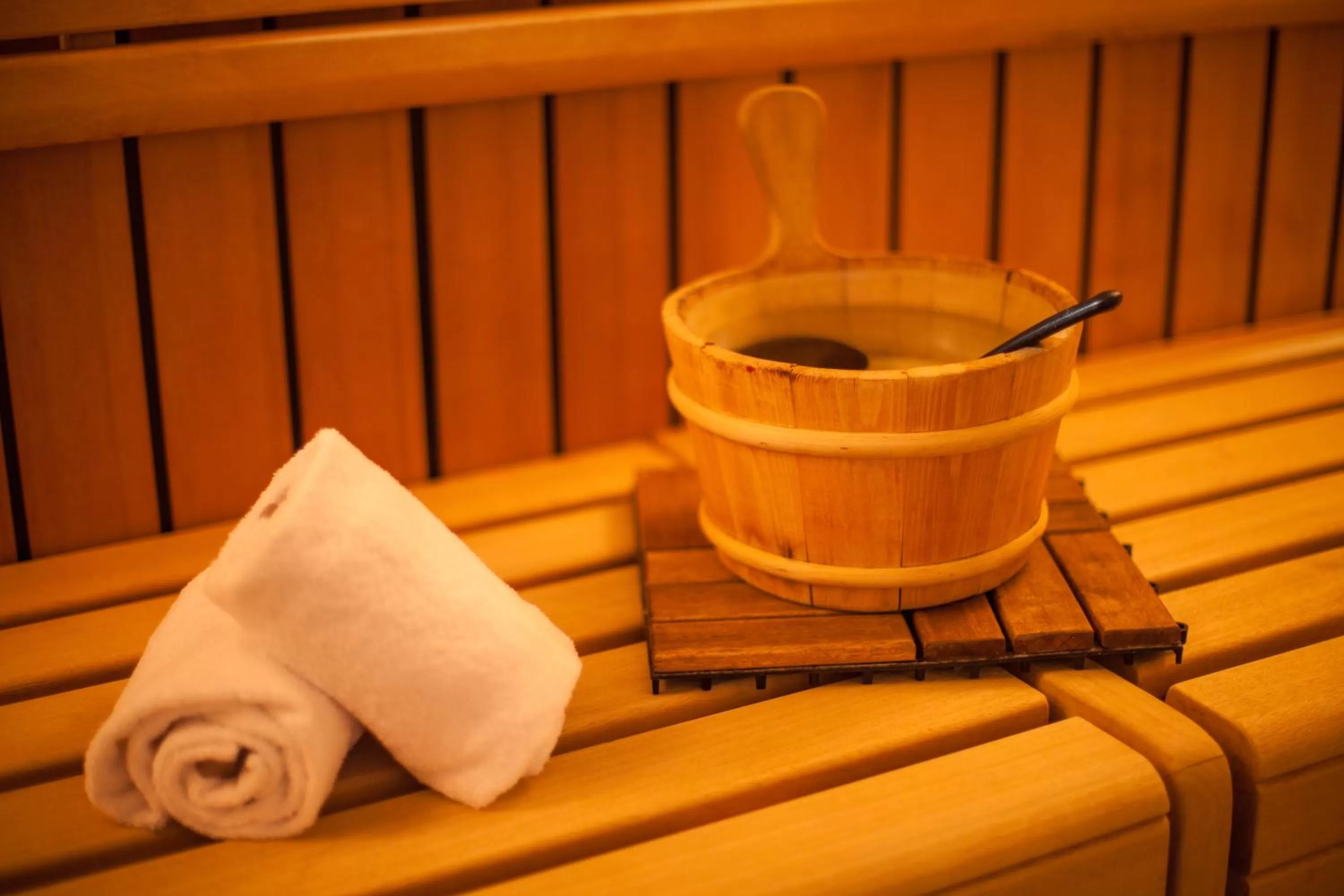 Sauna in Novina Hotel Tillypark