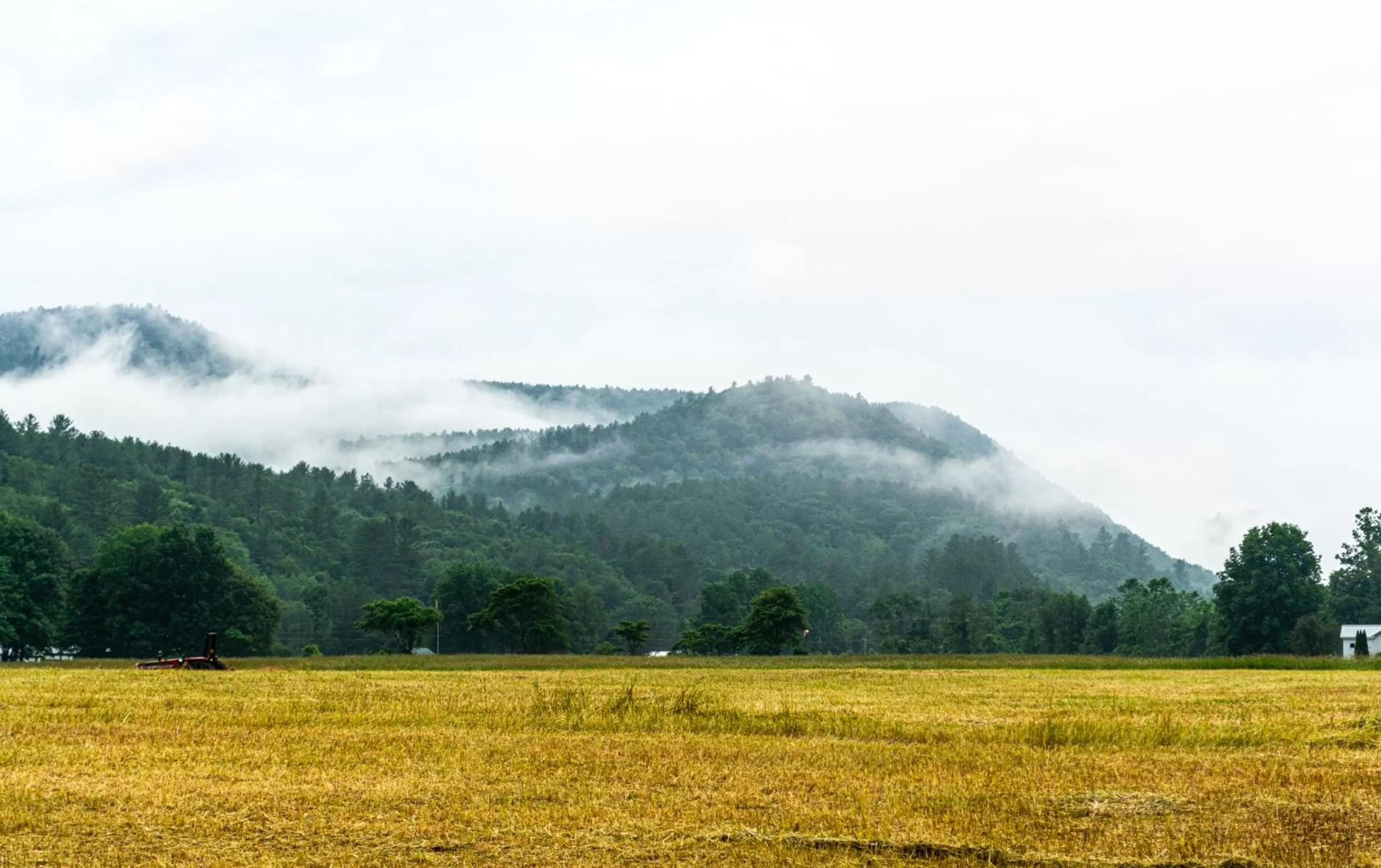 Natural landscape in The Lodge at West River