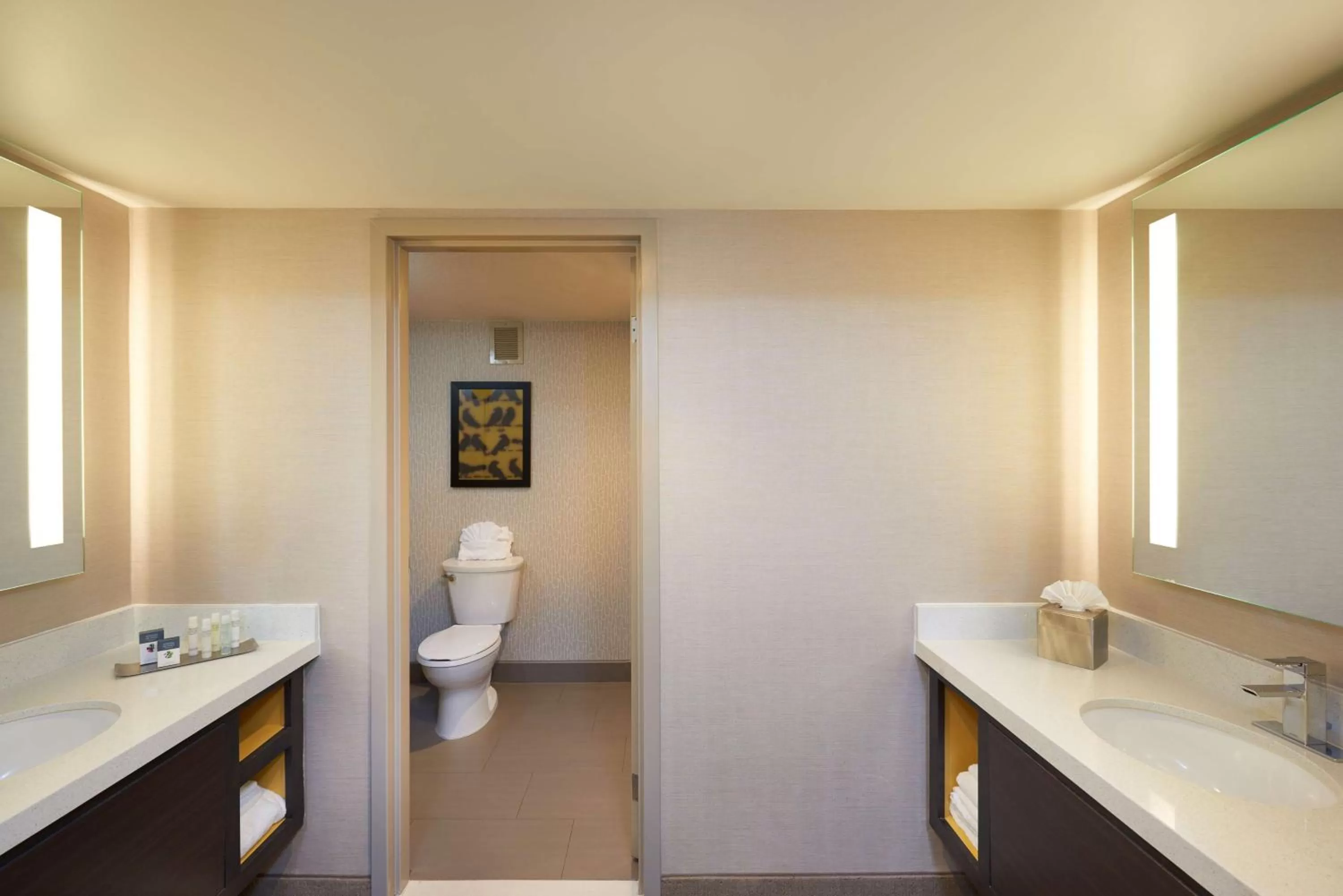 Bathroom in DoubleTree by Hilton Fresno Convention Center