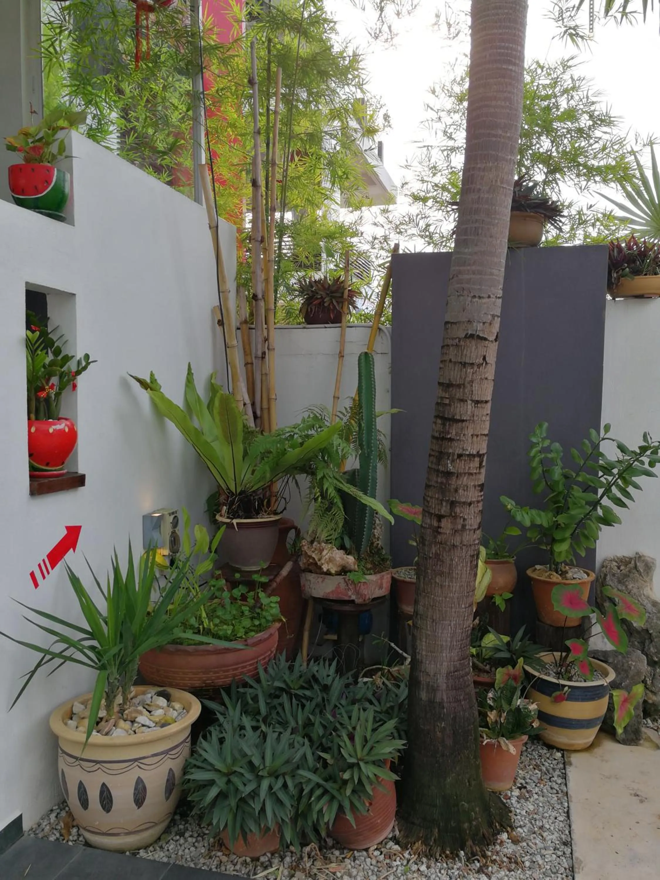 Millenium maison home