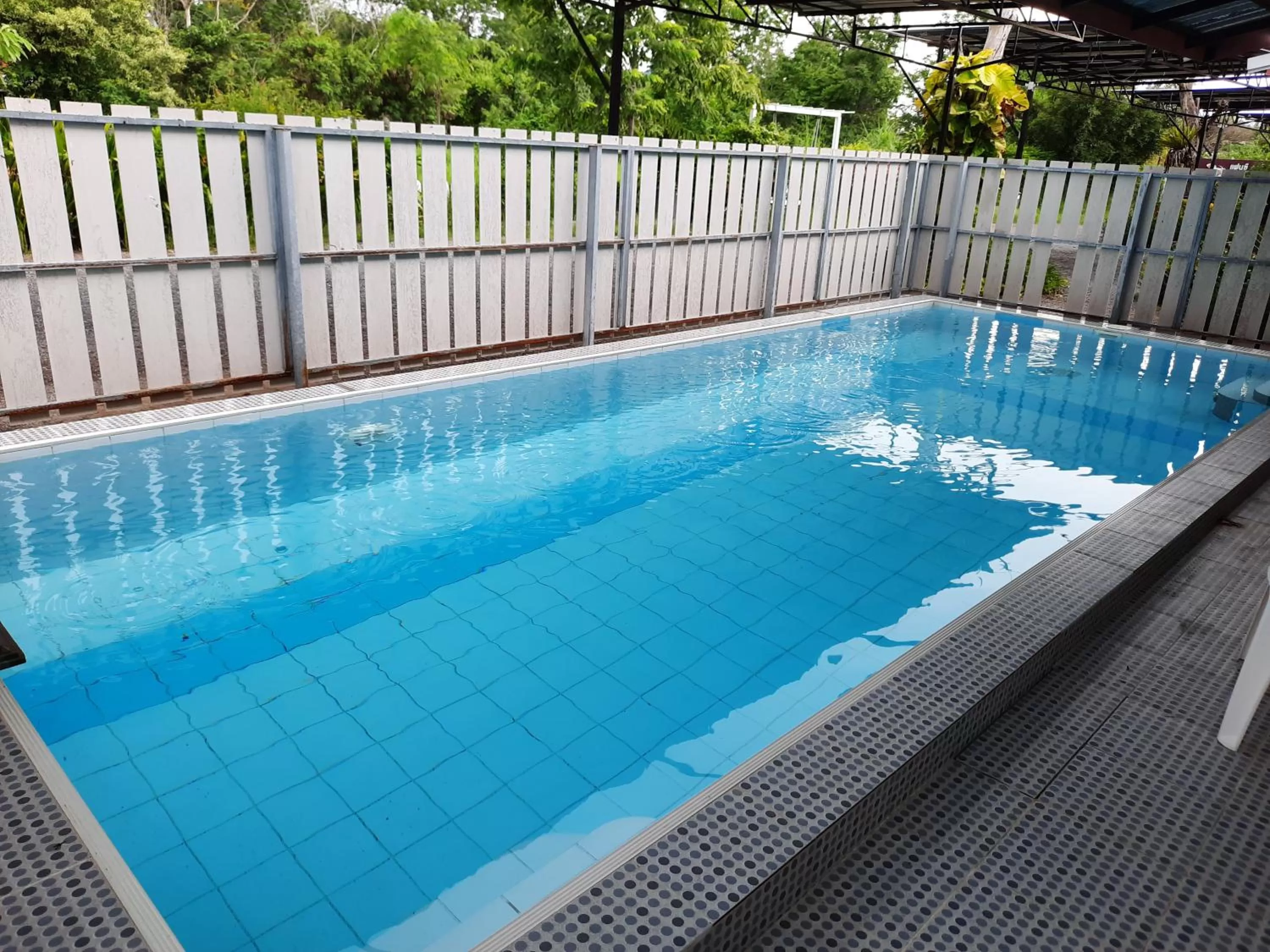 Swimming Pool in Fancy Carp Resort