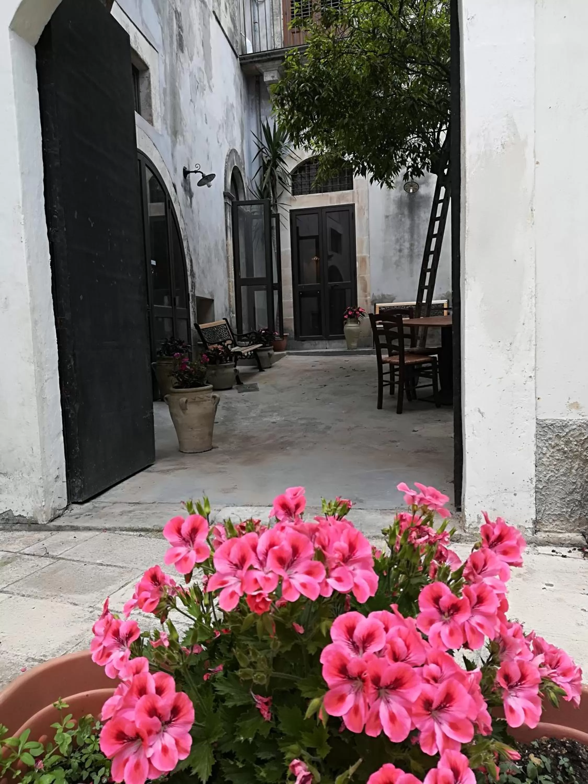 Garden in Residenza Donnafugata B&B