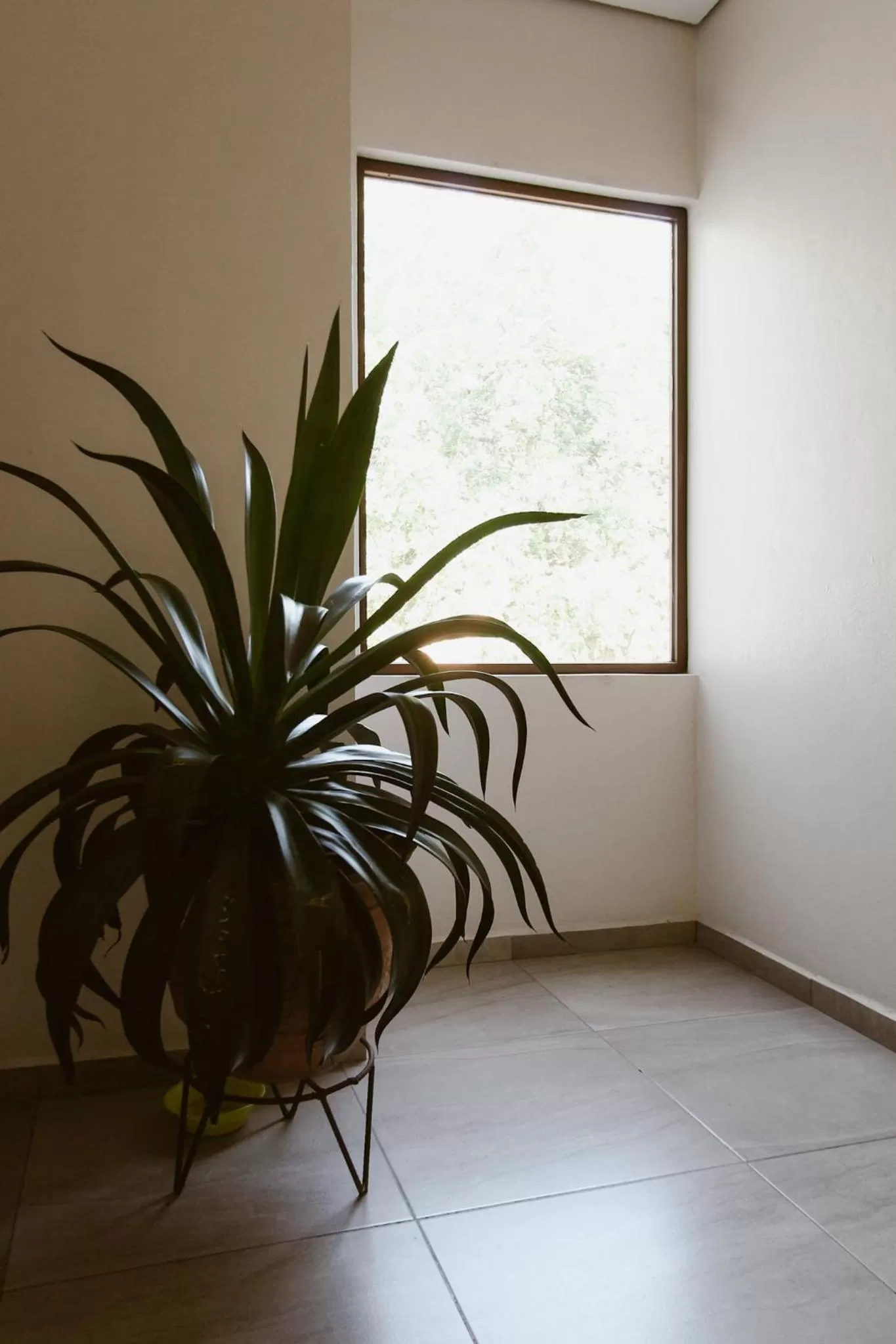 Balcony/Terrace in Hotel Guivá Aeropuerto
