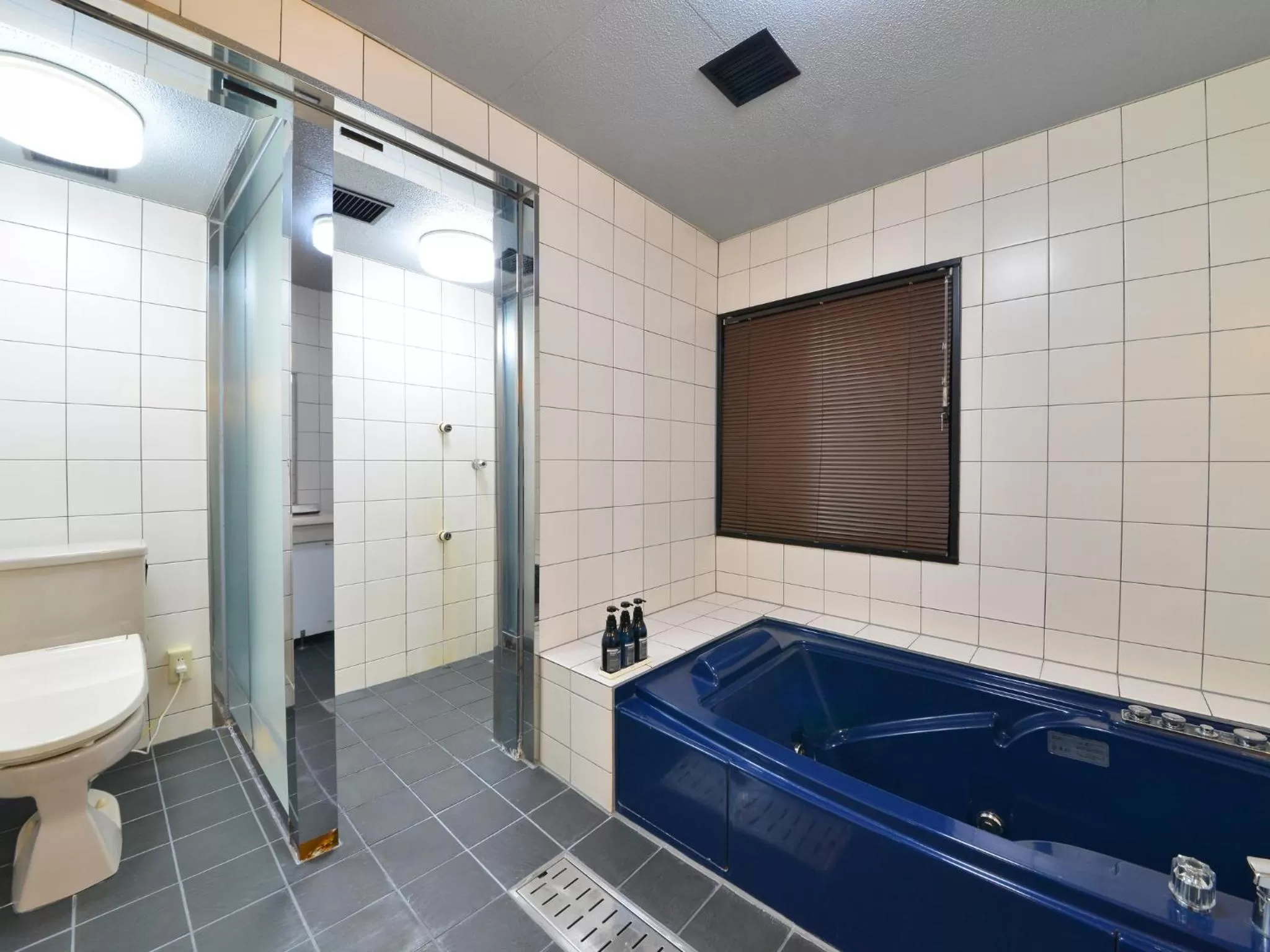 Area and facilities in LC Goryokaku Hotel