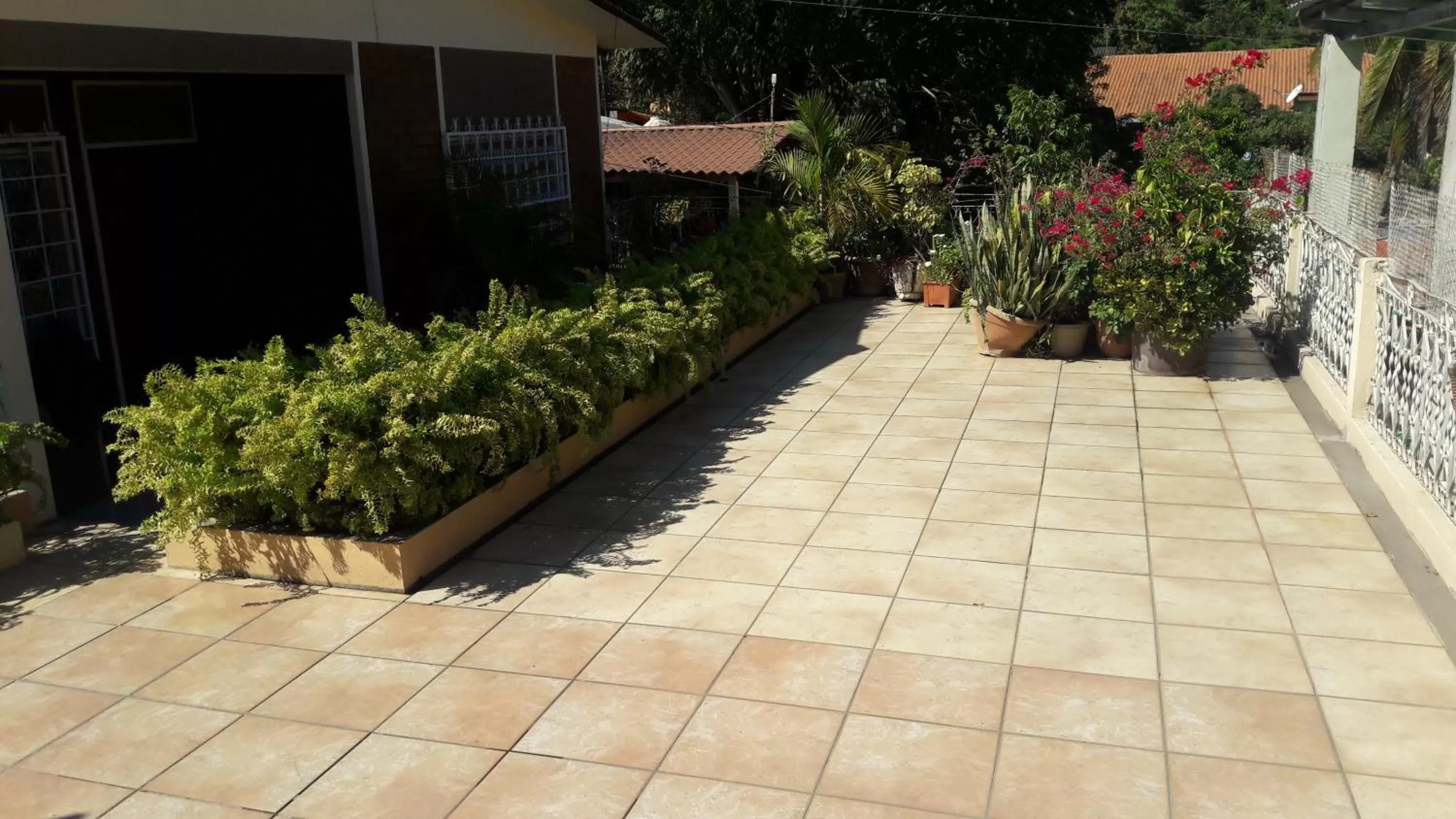 Mountain view in Hotel Brisas de Copan