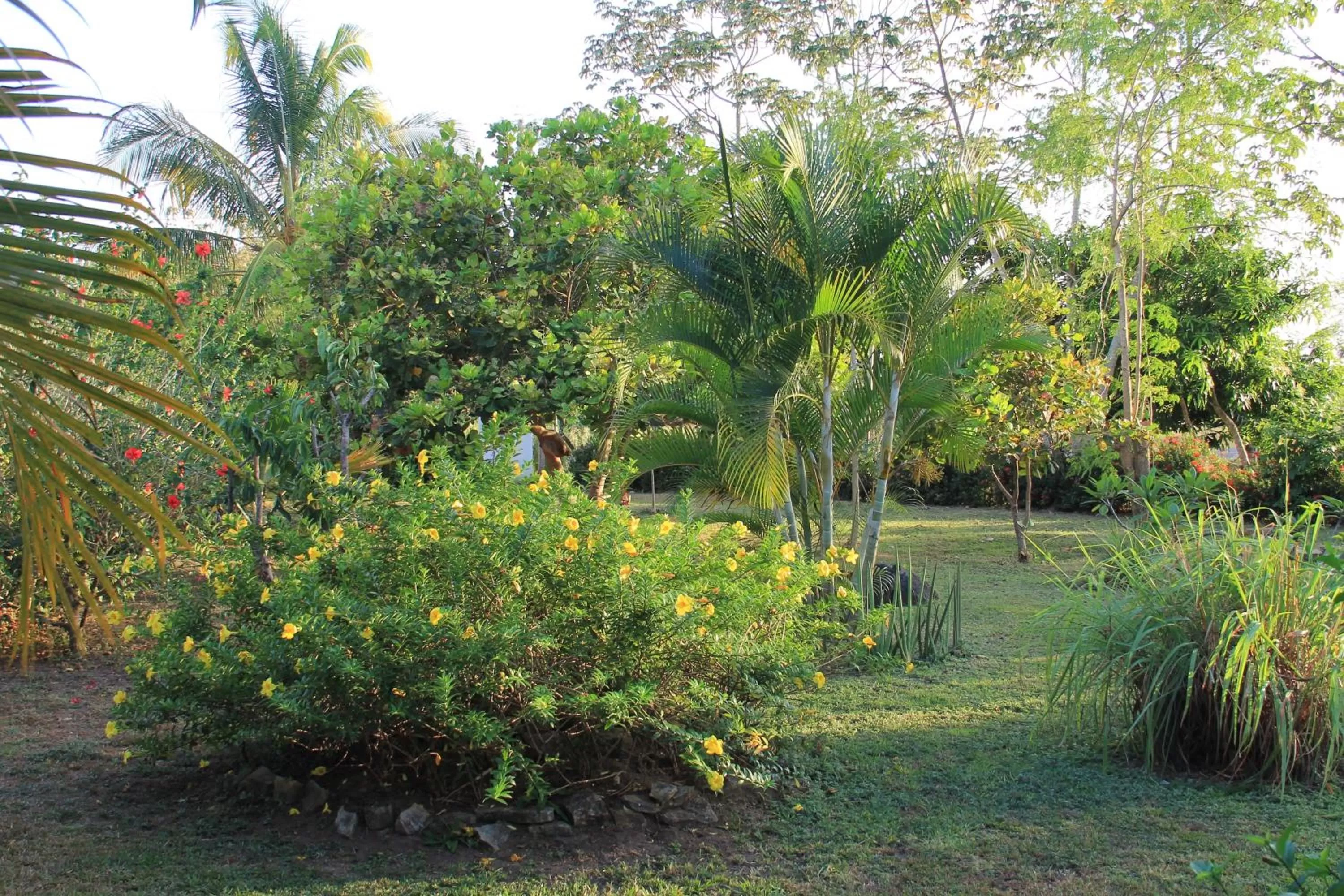 Garden in Cabañas La Casa de Pucha