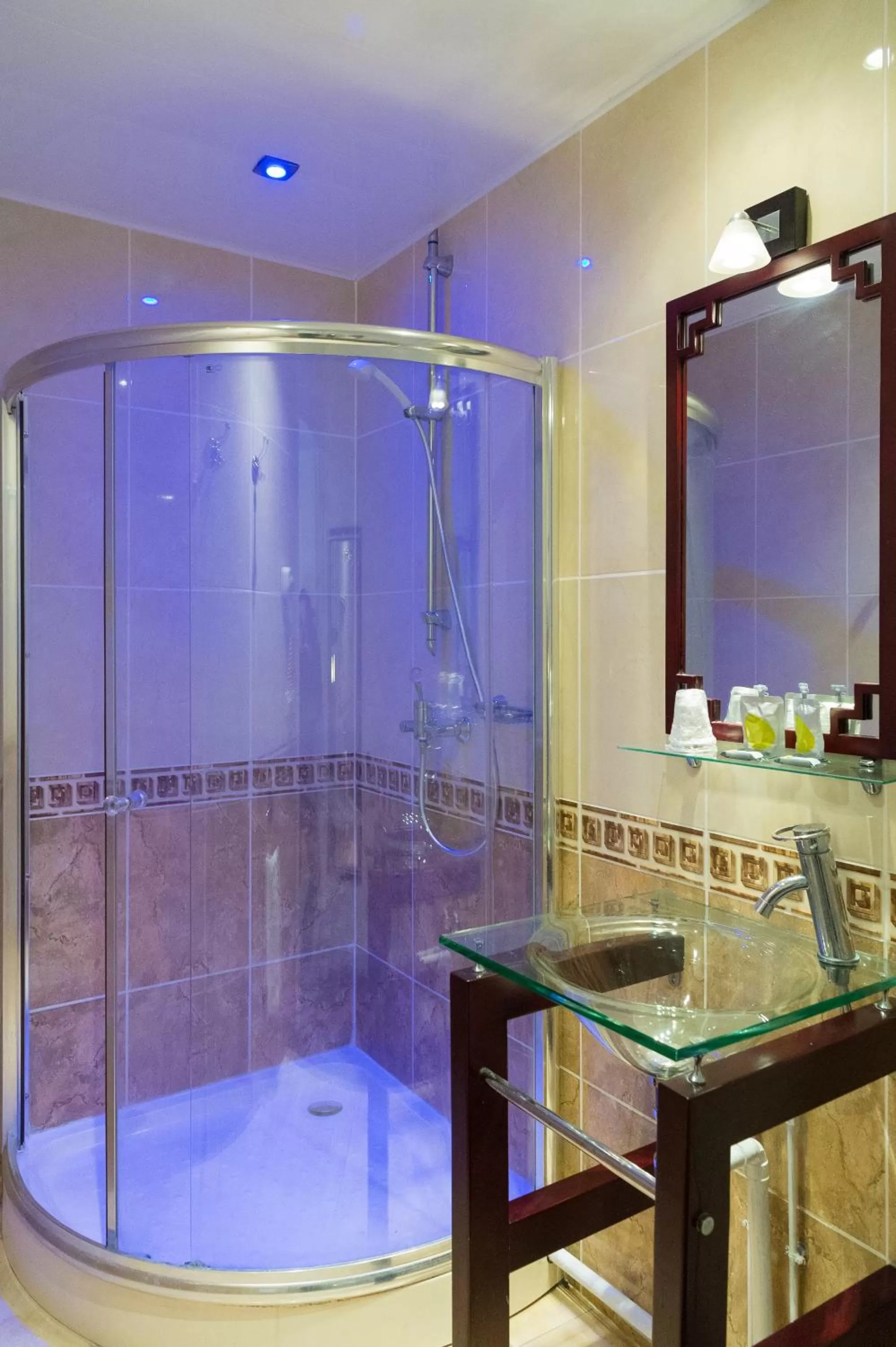 Shower in Hôtel Le Home Saint Louis