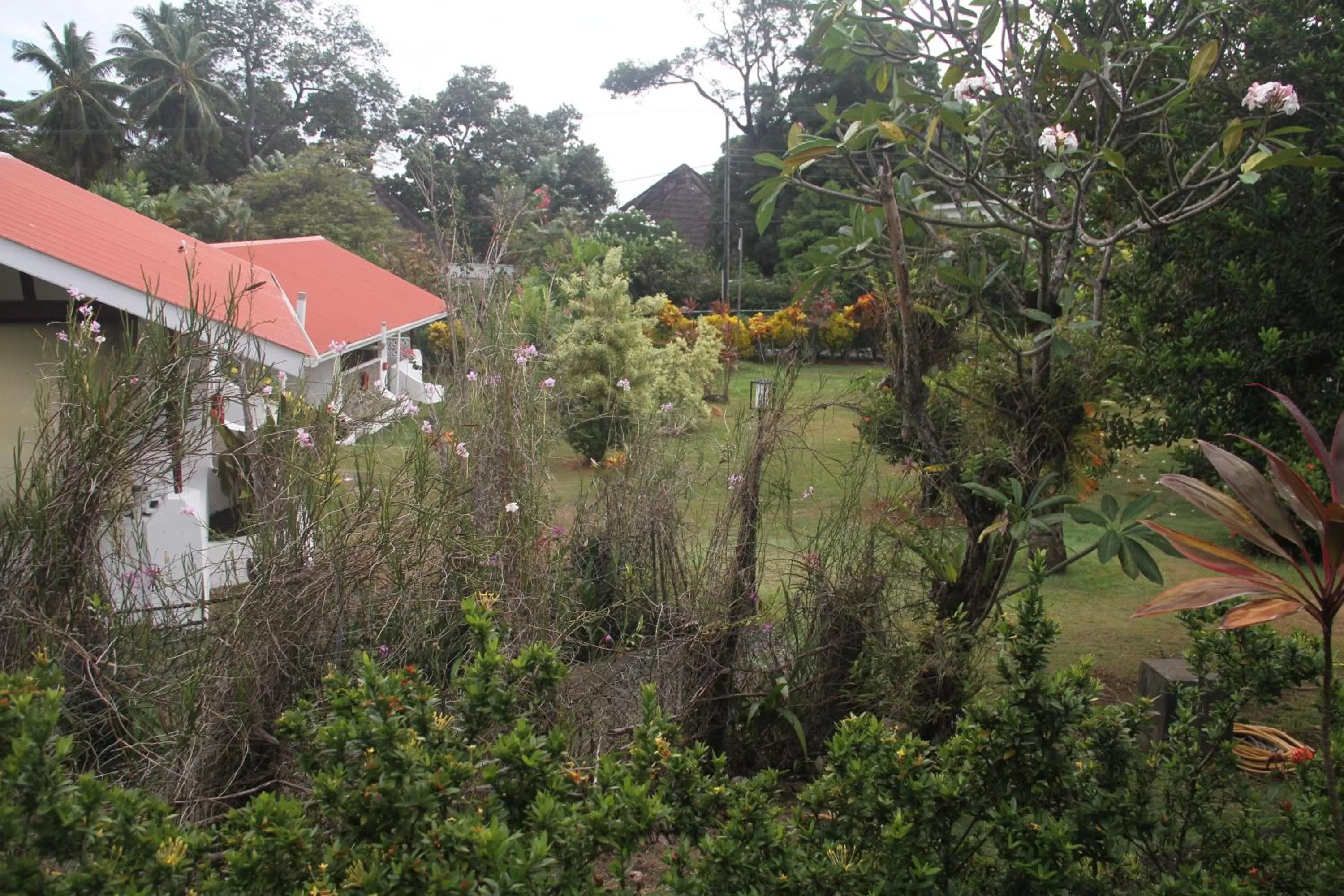 Garden in Daniella's Bungalows