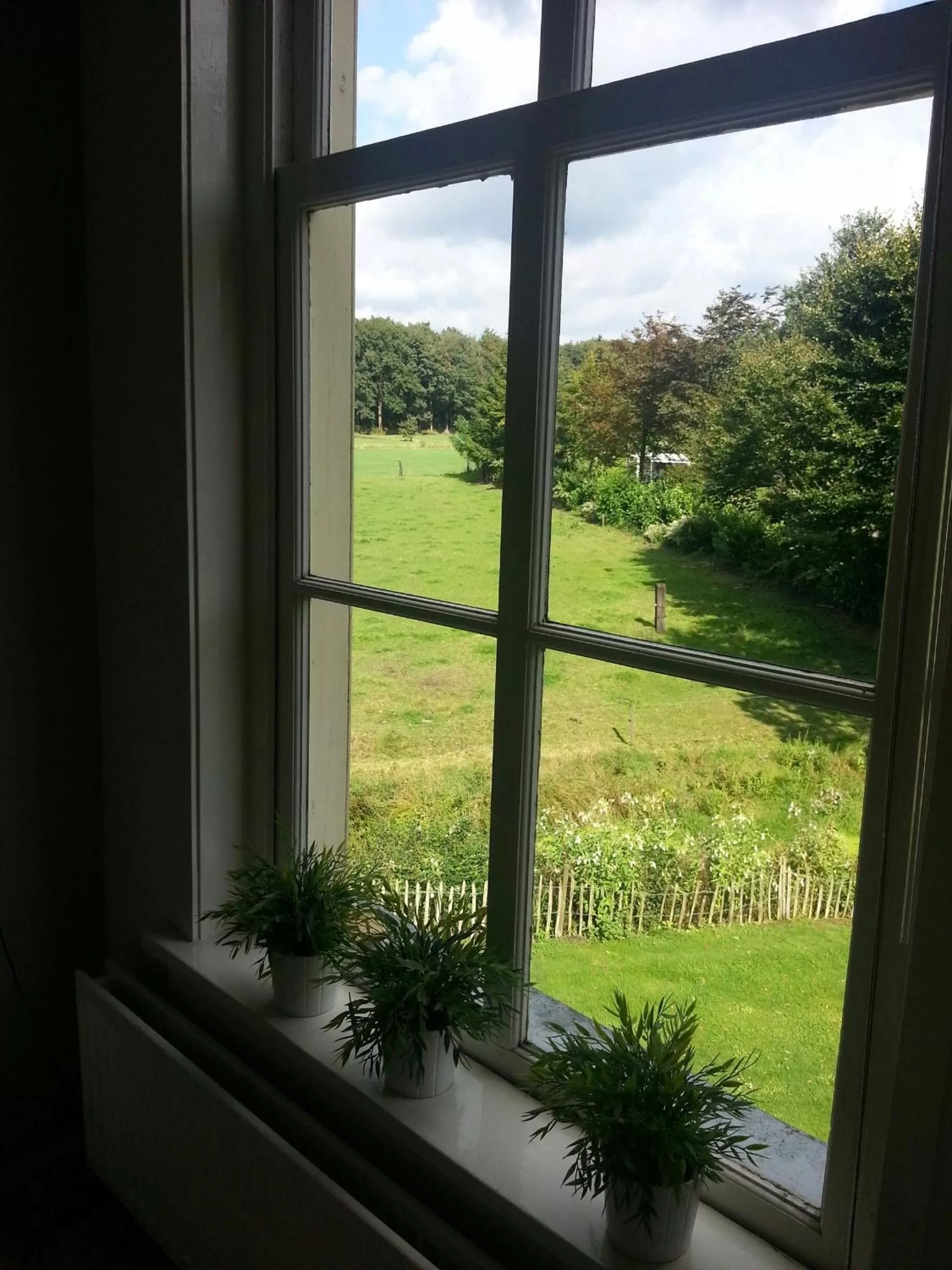 View (from property/room) in Hotel Restaurant Roerdinkhof