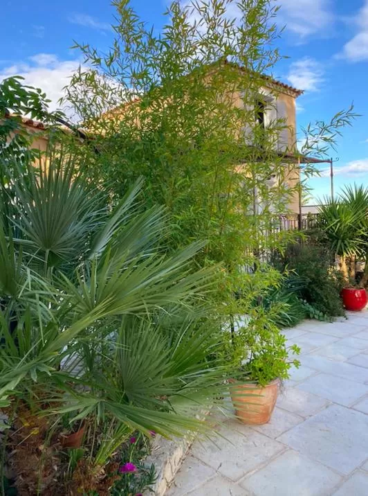 Property Building in le pool house