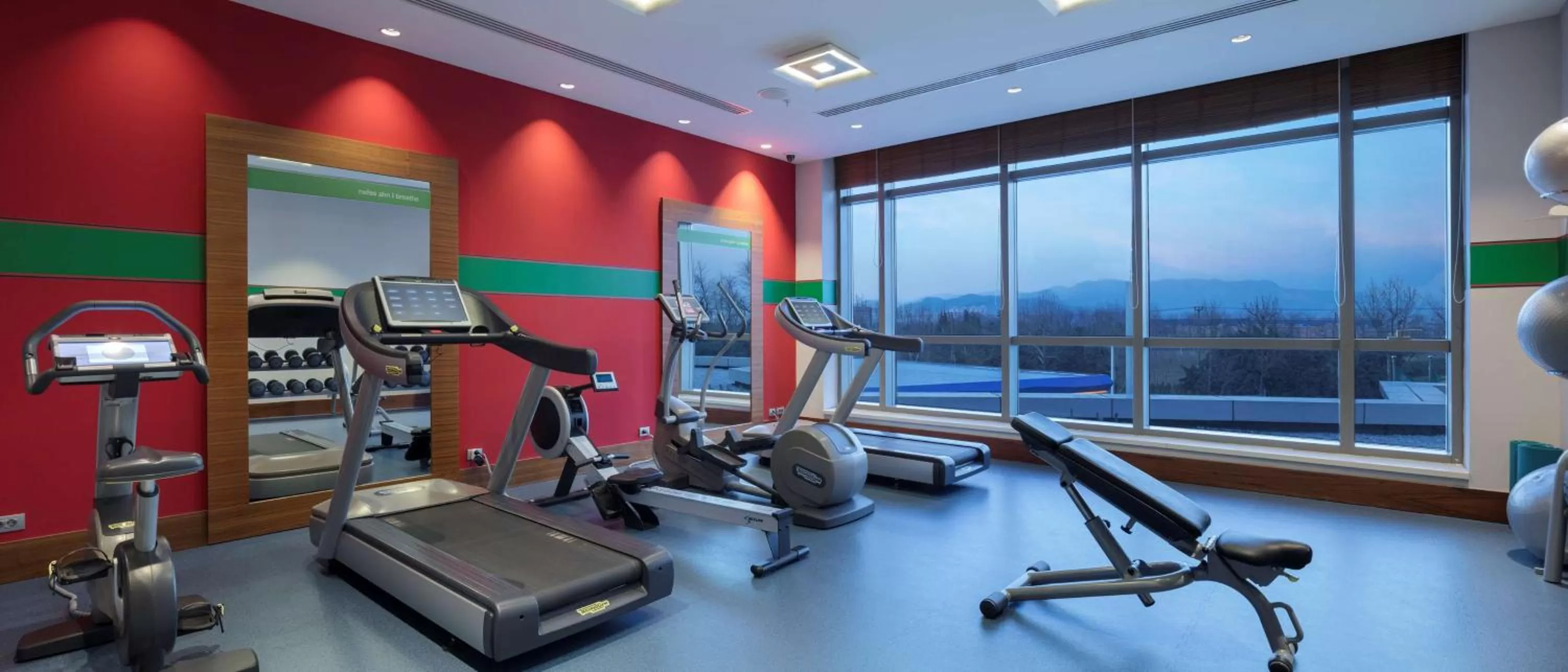 Fitness centre/facilities in Hampton By Hilton Bursa