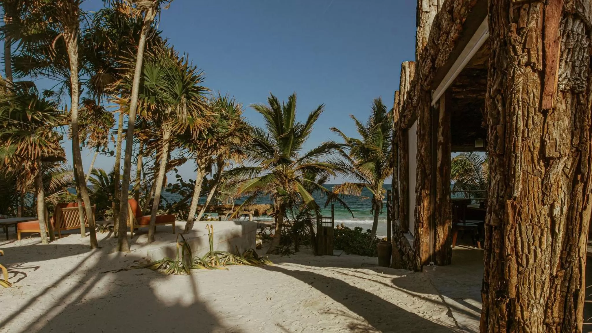Natural landscape in Casa Phoenix Tulum