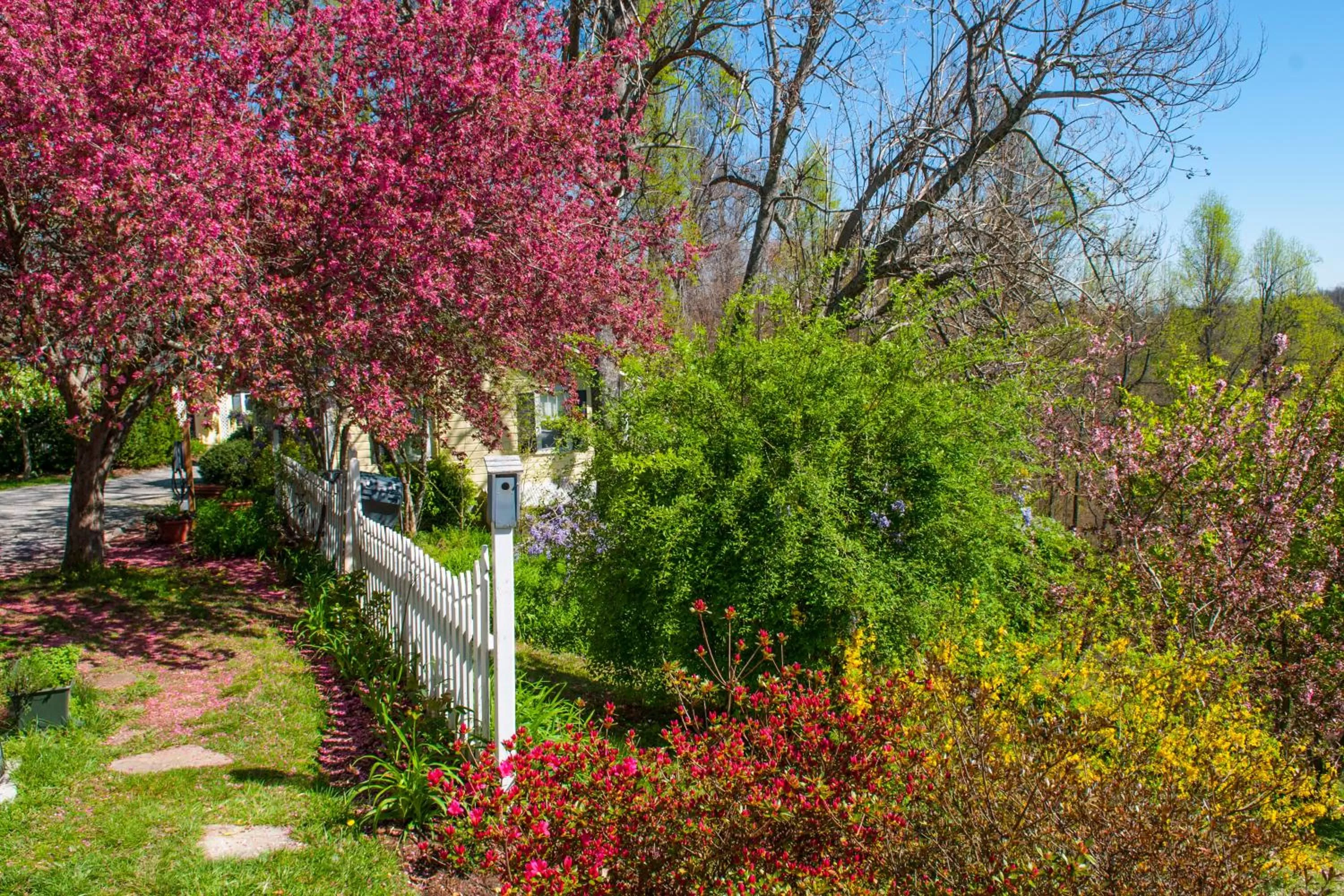 Garden in Orchard Inn