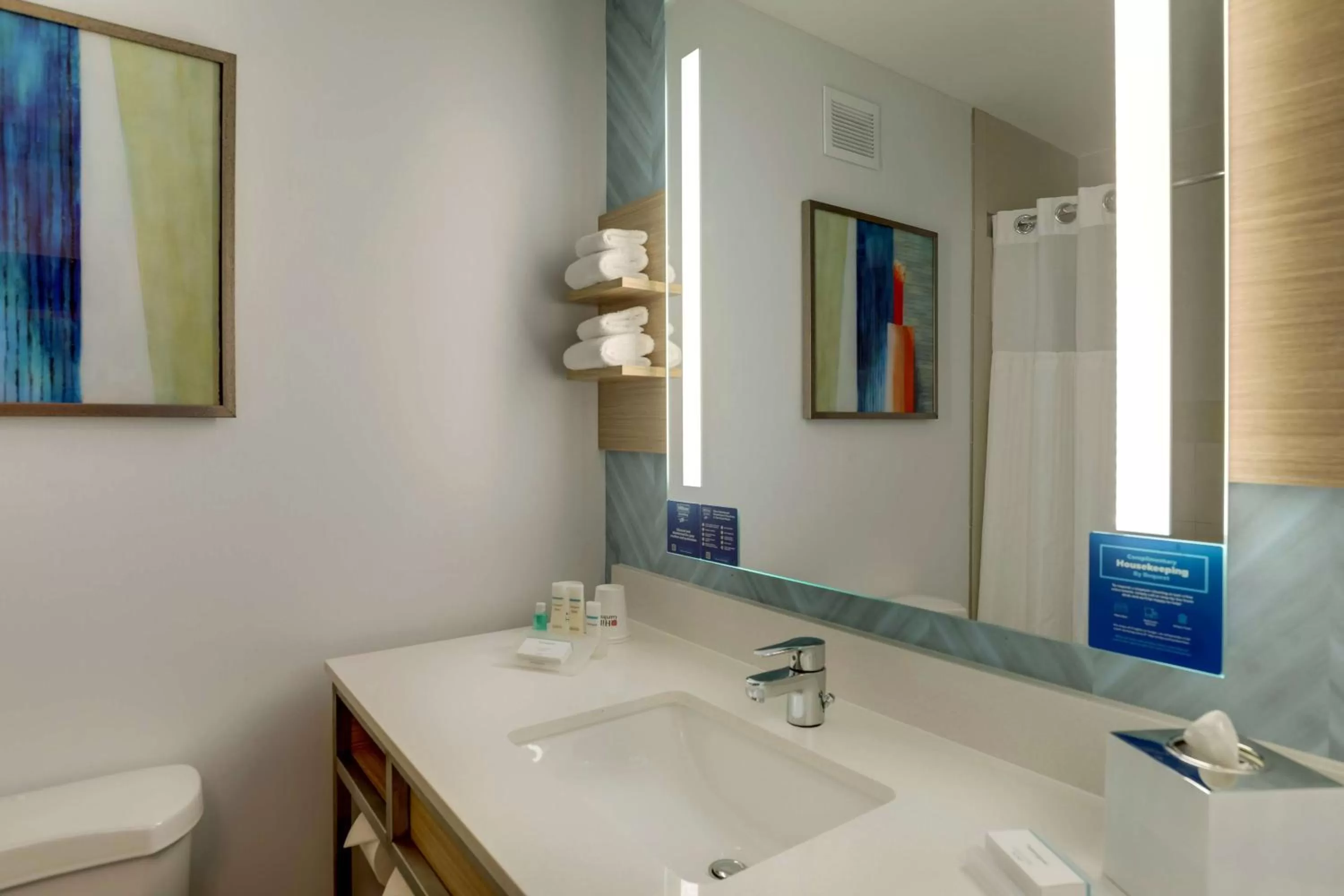 Bathroom in Hilton Garden Inn Fort Worth/Fossil Creek