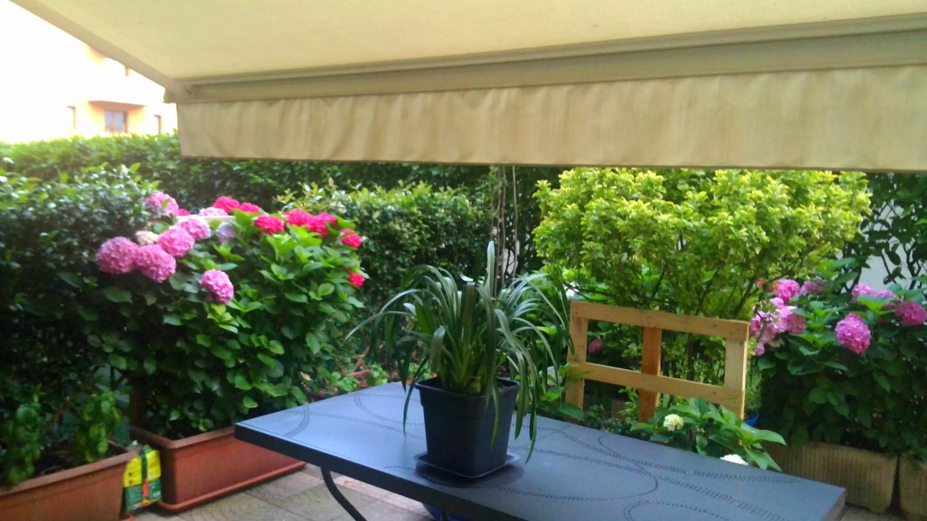 Patio in Smart-House Rent-Rooms FREE PARKING
