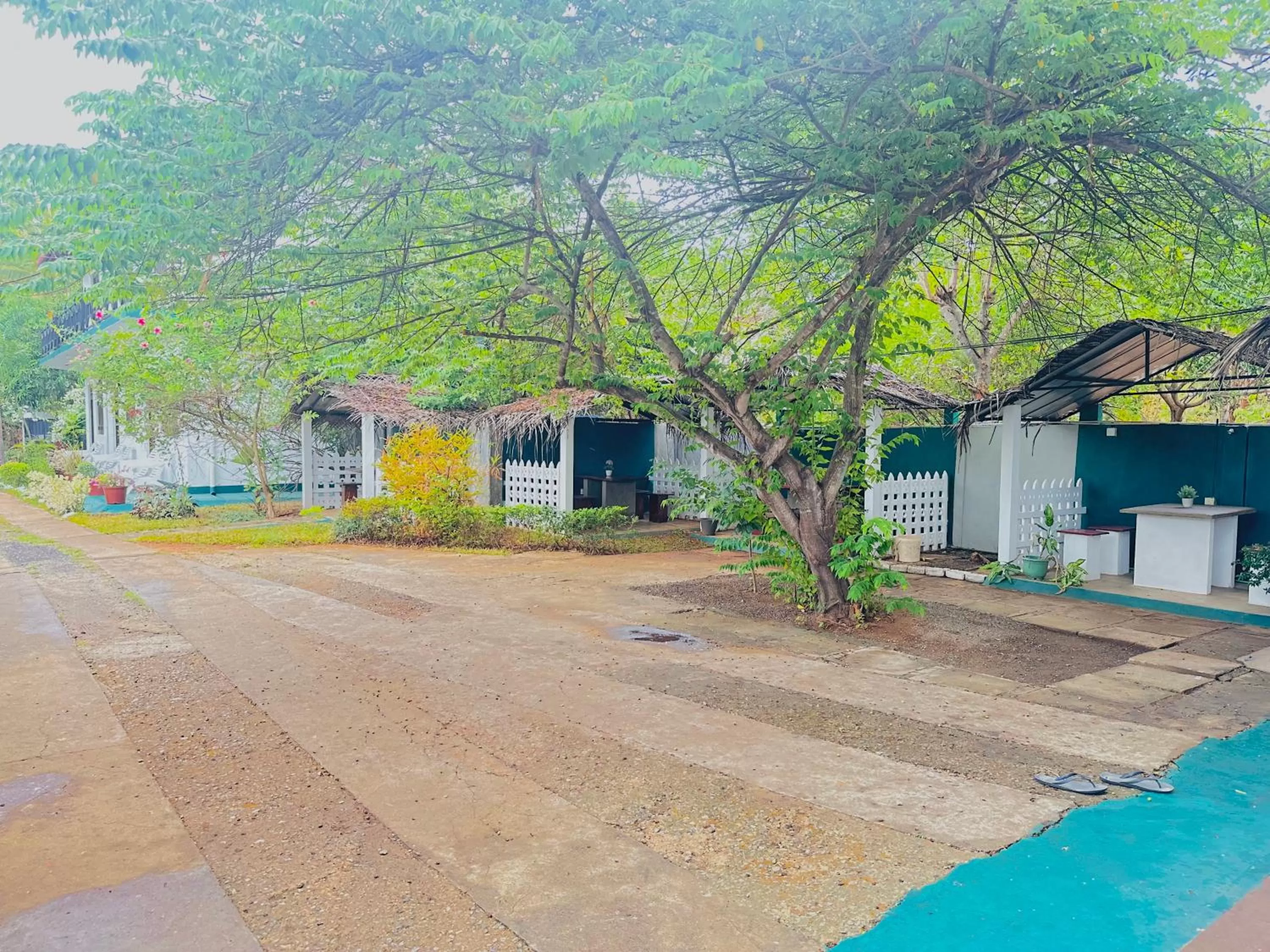 Property Building in New Peacock Resort