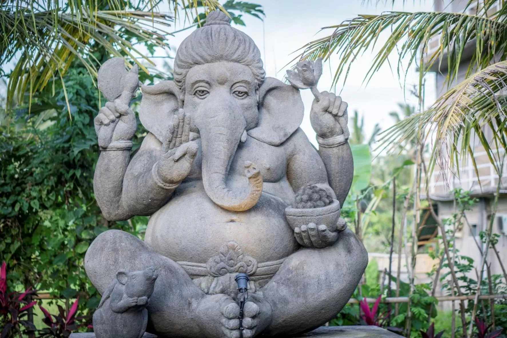 Property building in Gerindem Cottages