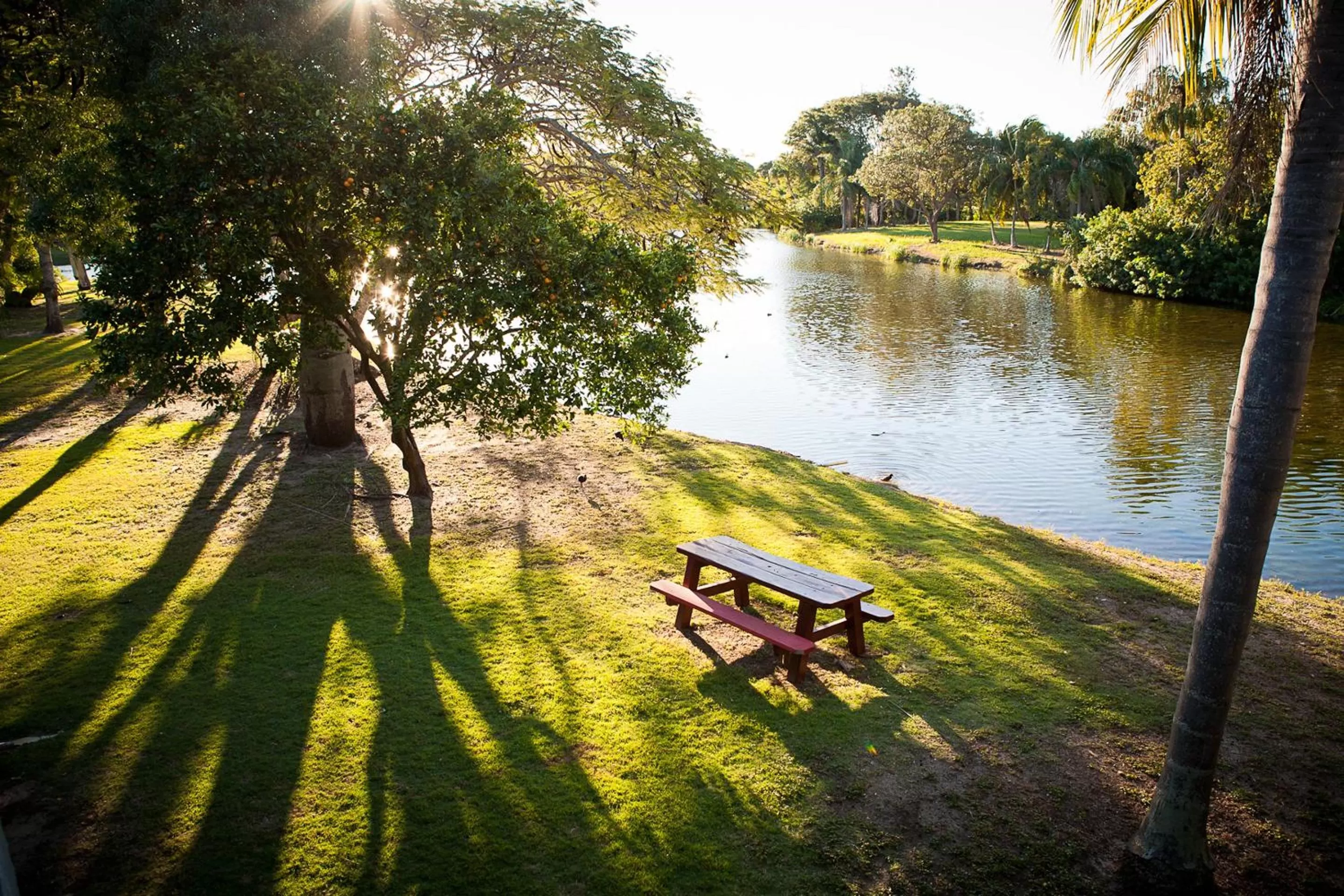 Garden in Nightcap at Kondari Resort