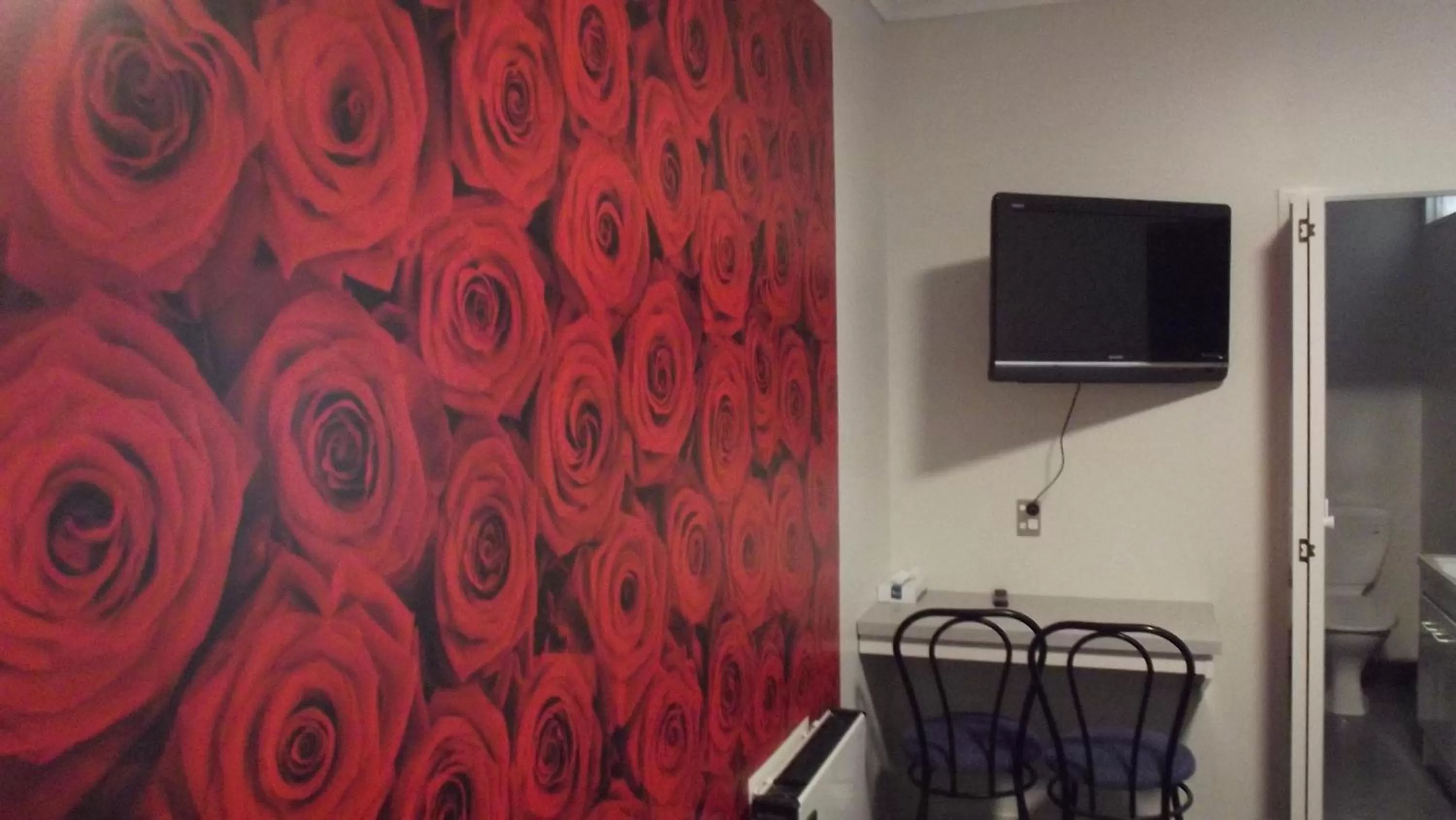 TV and multimedia in Motel on Carroll