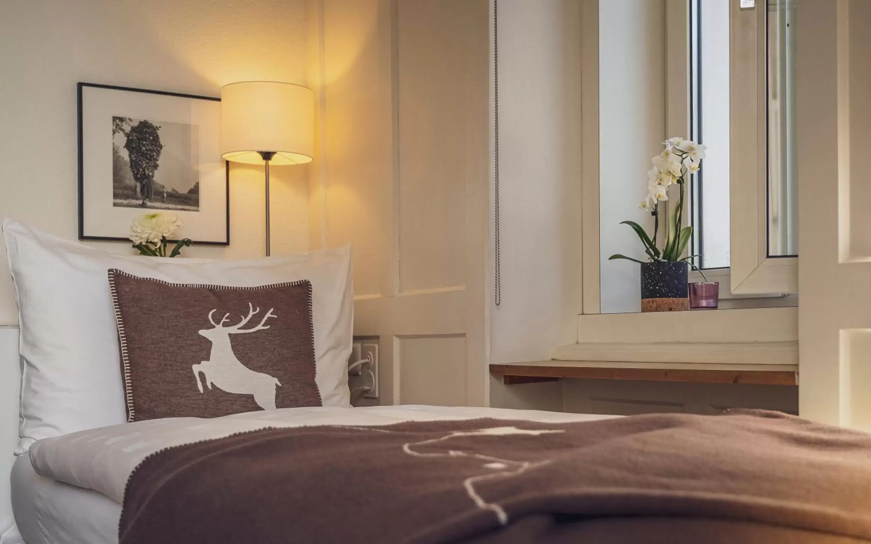 Single Room in Hotel National by Mountain Hotels Single Room in Hotel National by Mountain Hotels