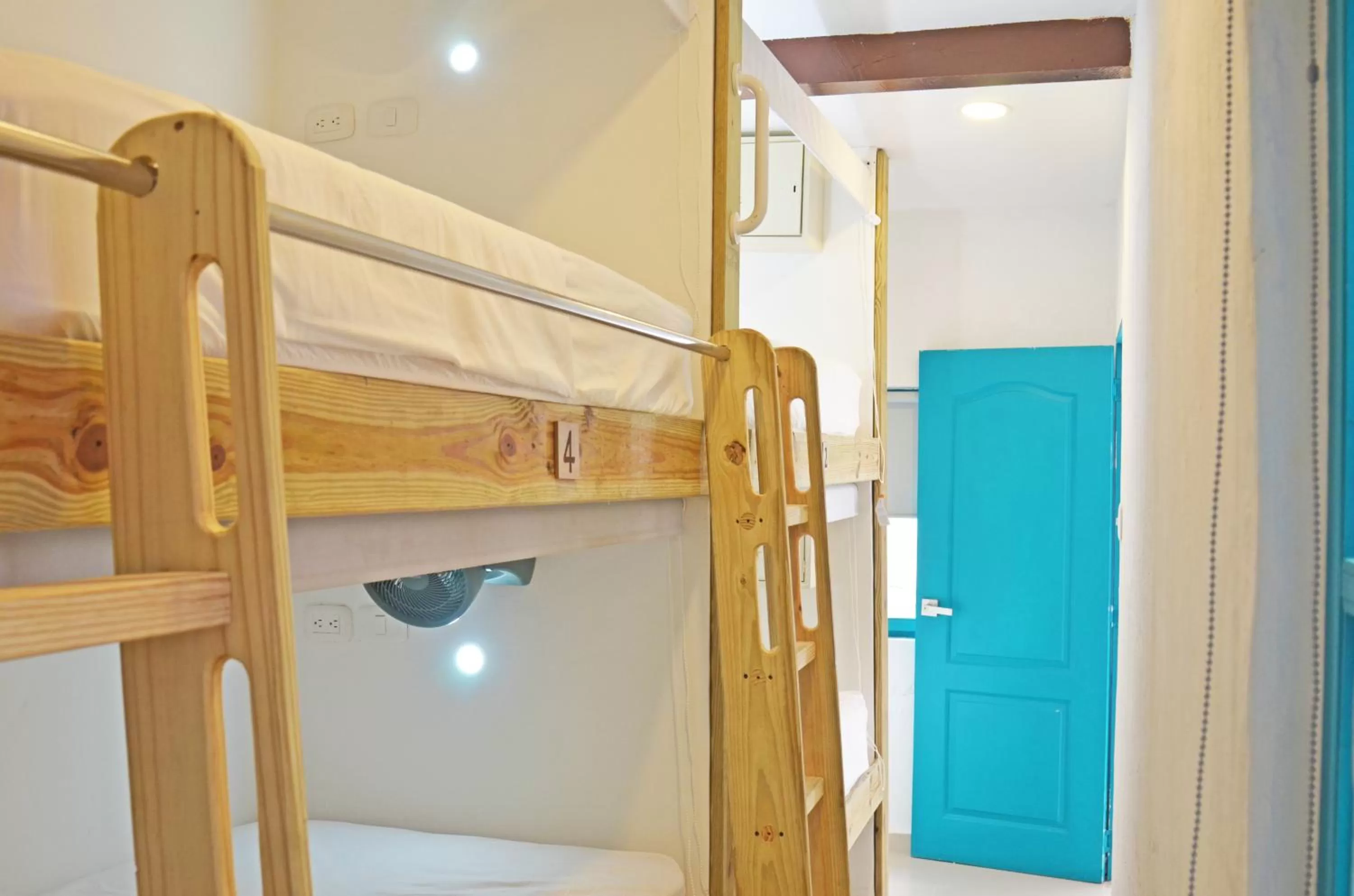 Bed, Bunk Bed in Faro de Alejandría Hostel