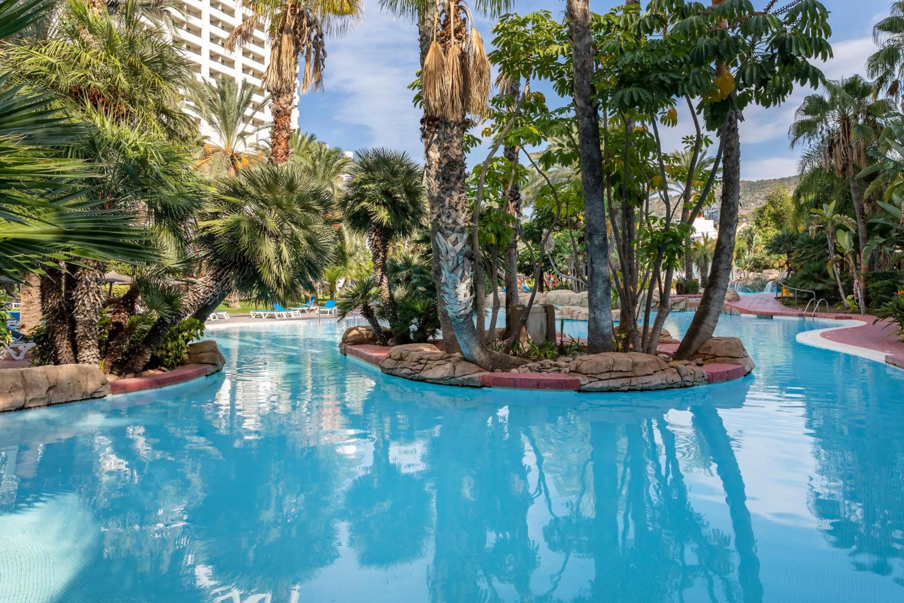 Swimming pool in Melia Benidorm
