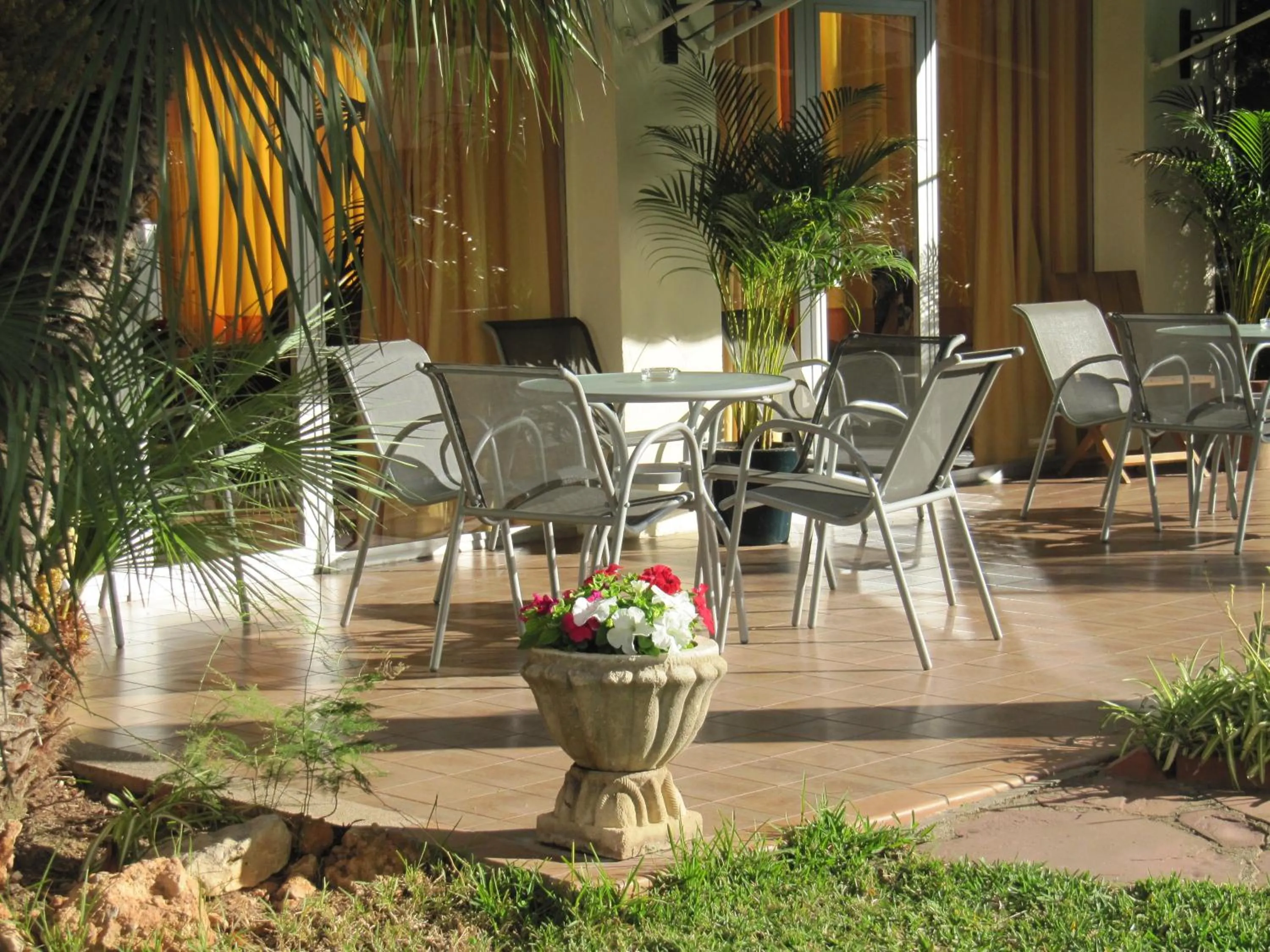 Garden in Hotel Tramontana