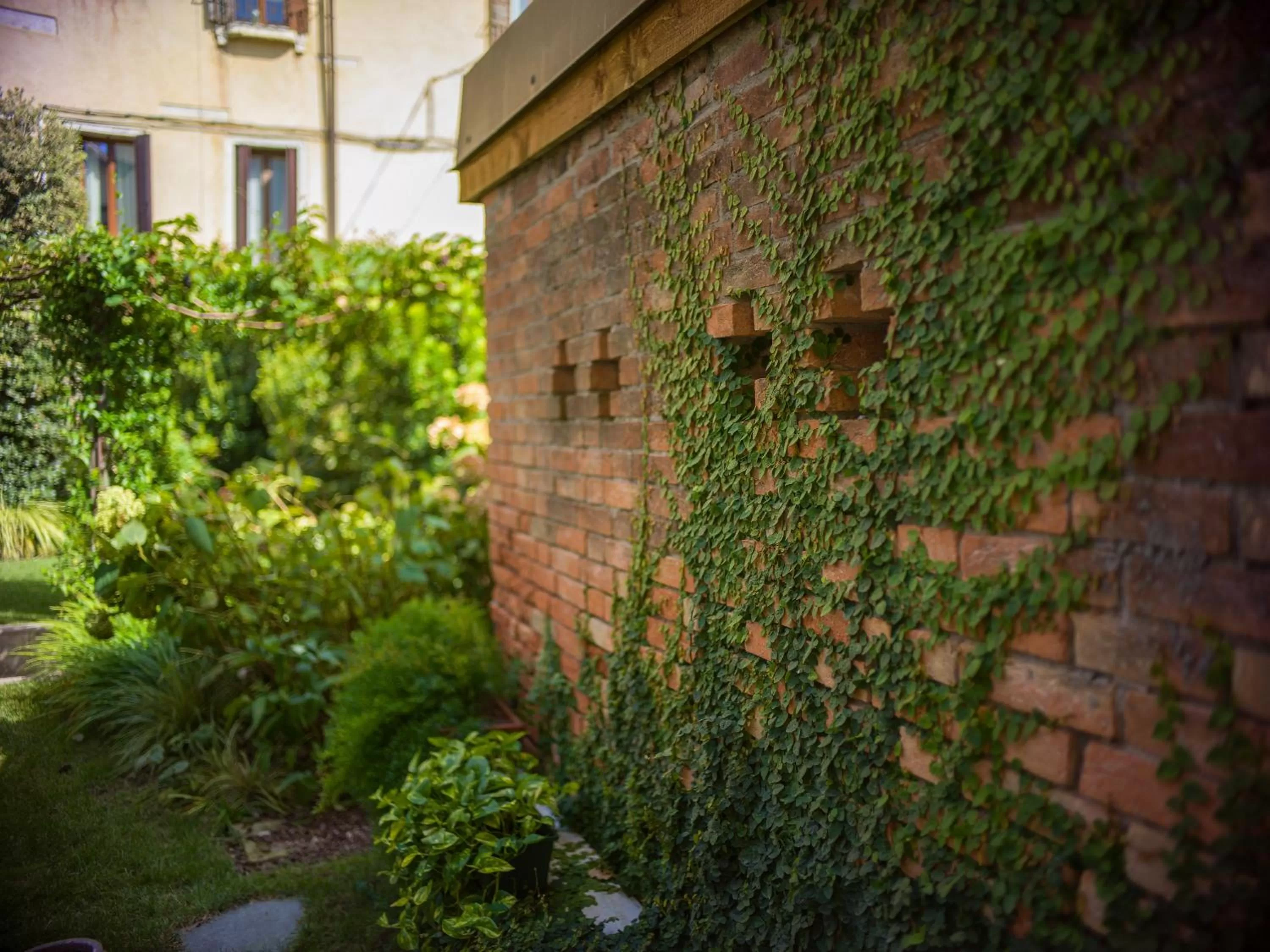 Garden in Madama Garden Retreat