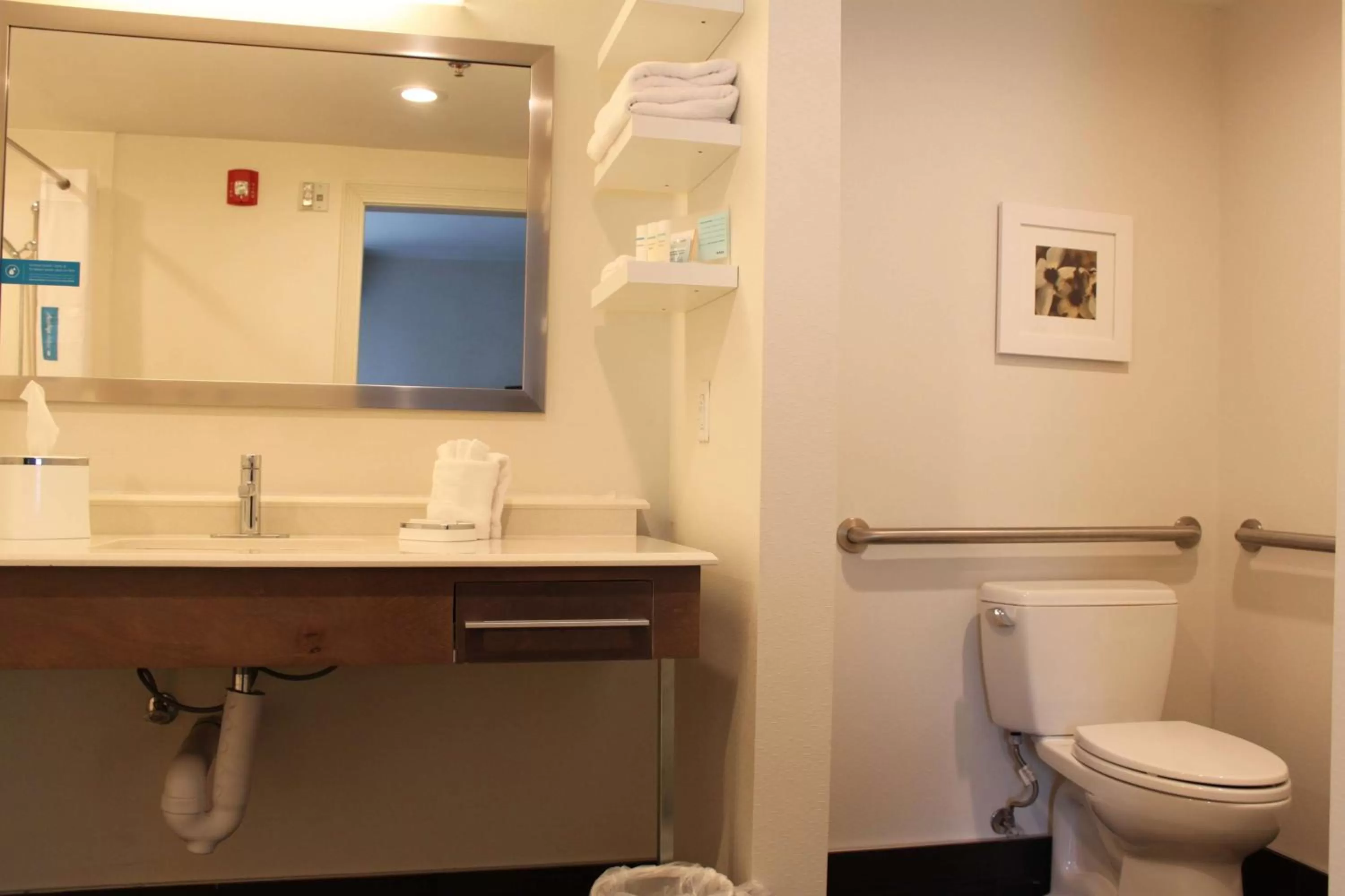 Bathroom in Hampton Inn Bainbridge, GA