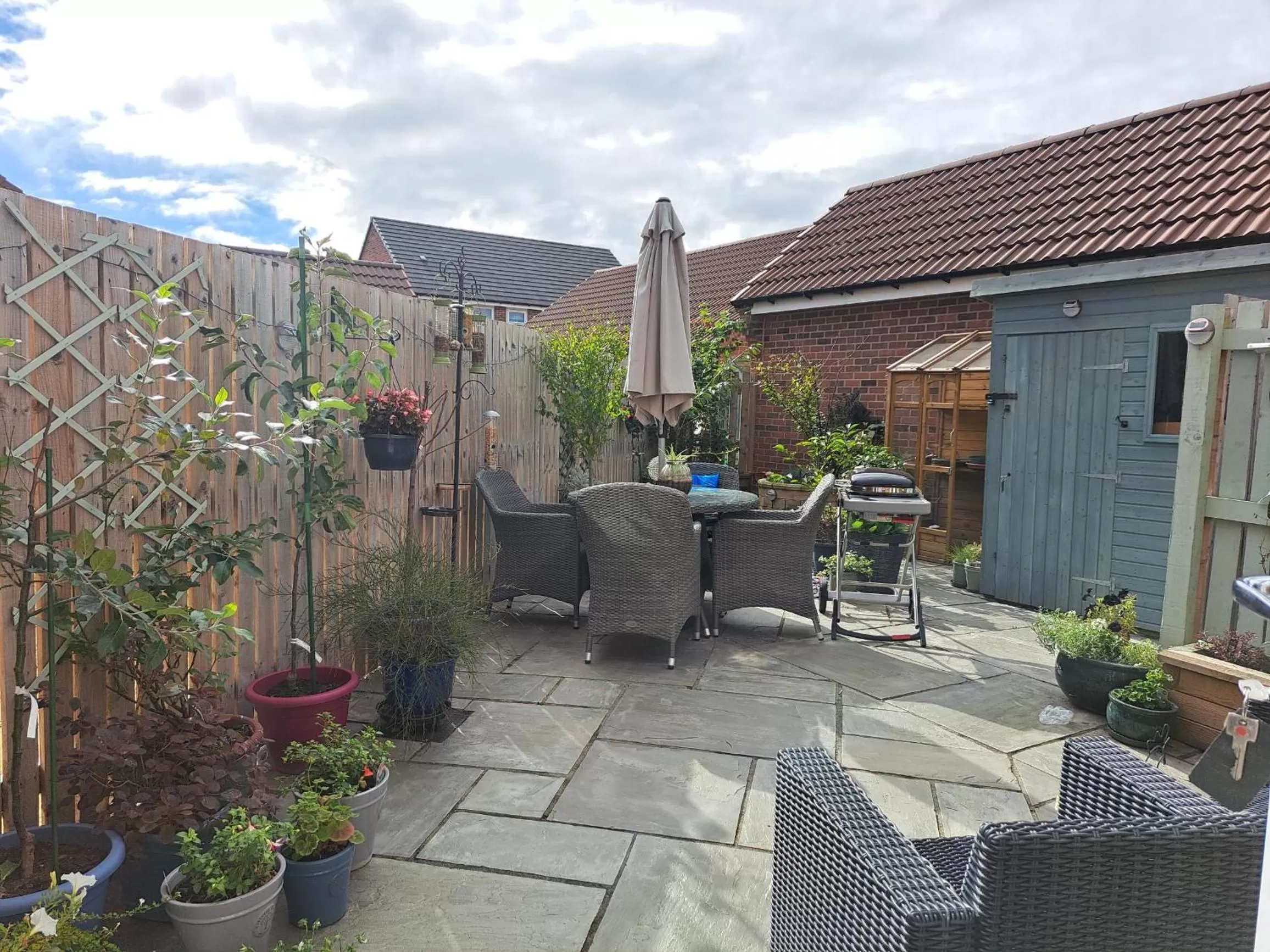 Garden view in Barbarella's place