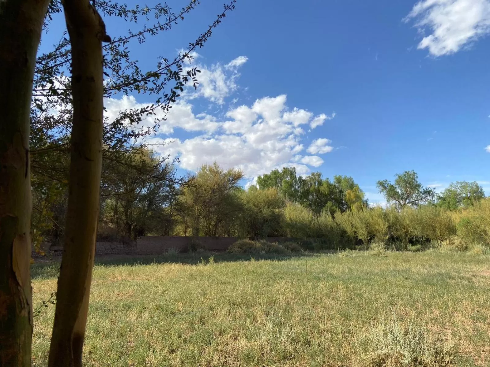 Natural landscape, Garden in CaminAndes Hostal