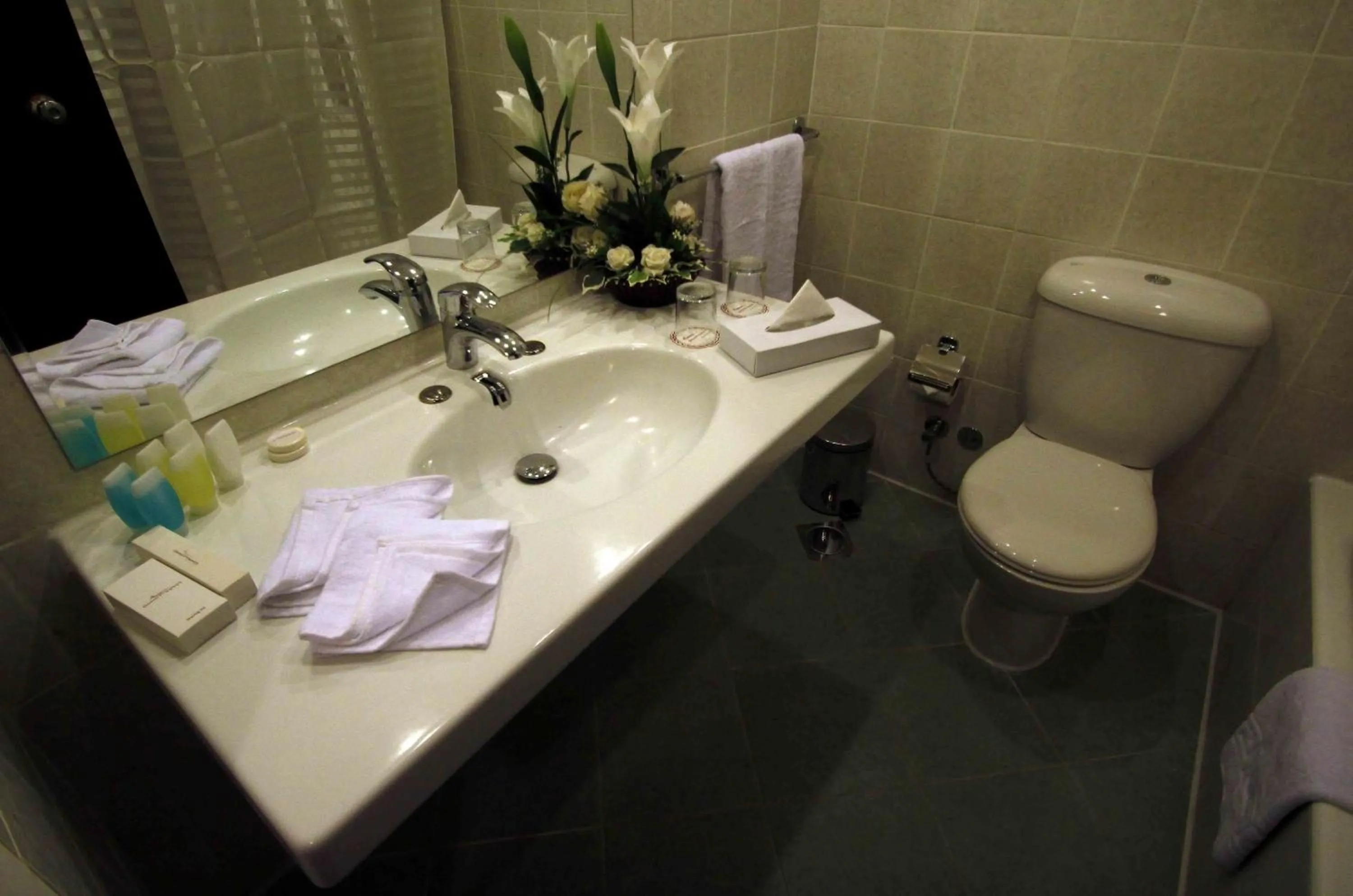 Toilet in Horizon Shahrazad Hotel