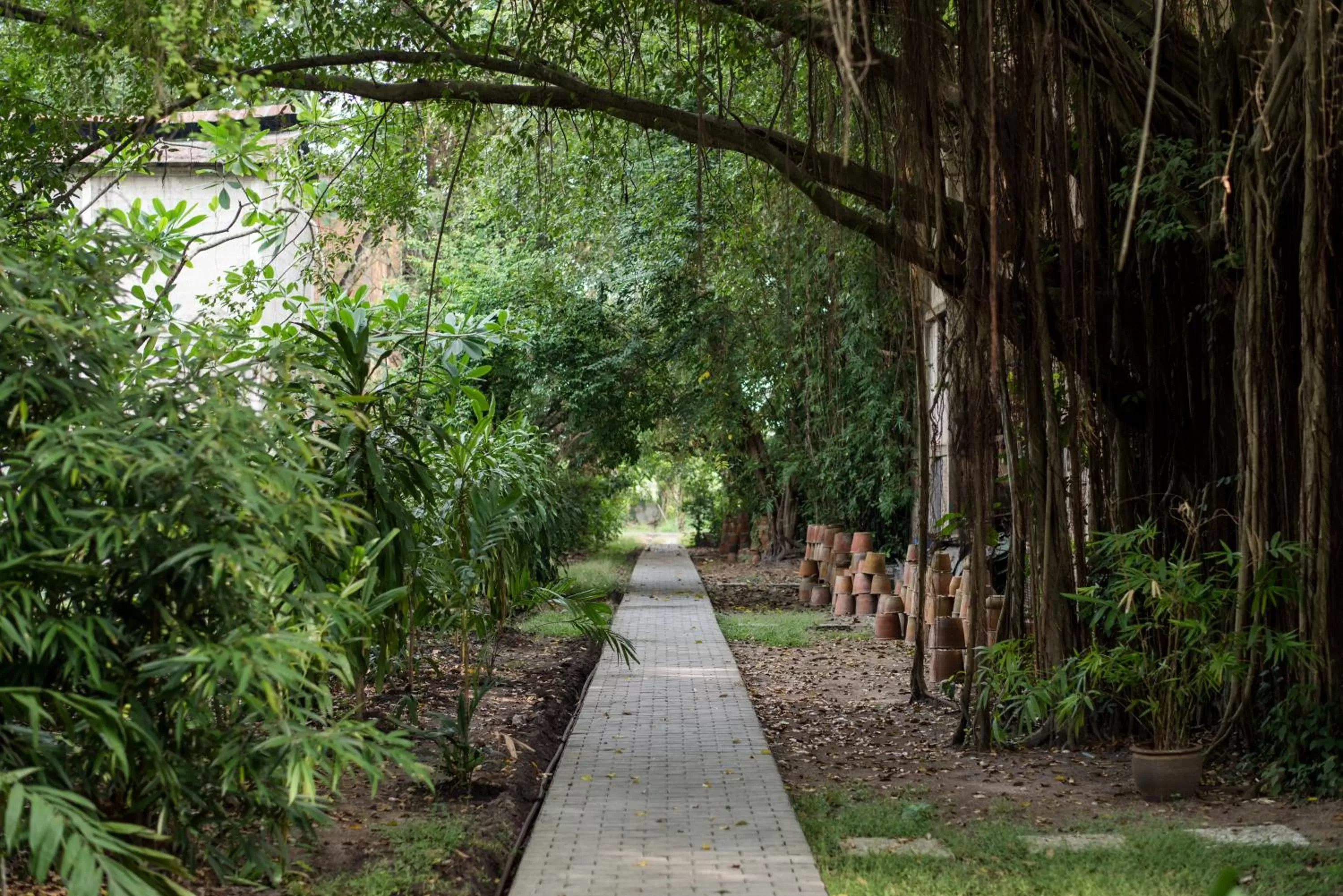 Garden view in Kaomai Lanna Resort