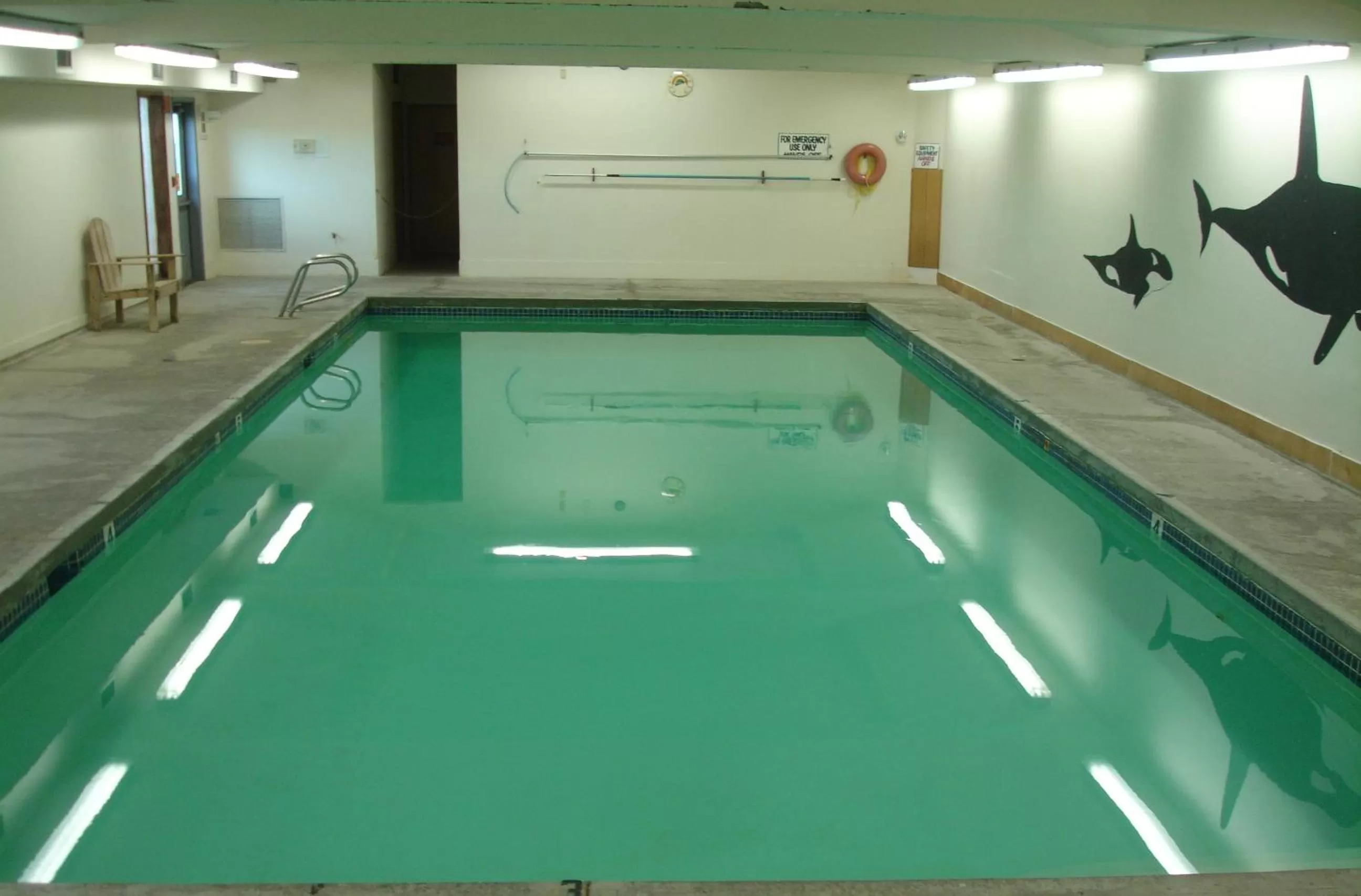 Swimming pool in The Dublin House Motel