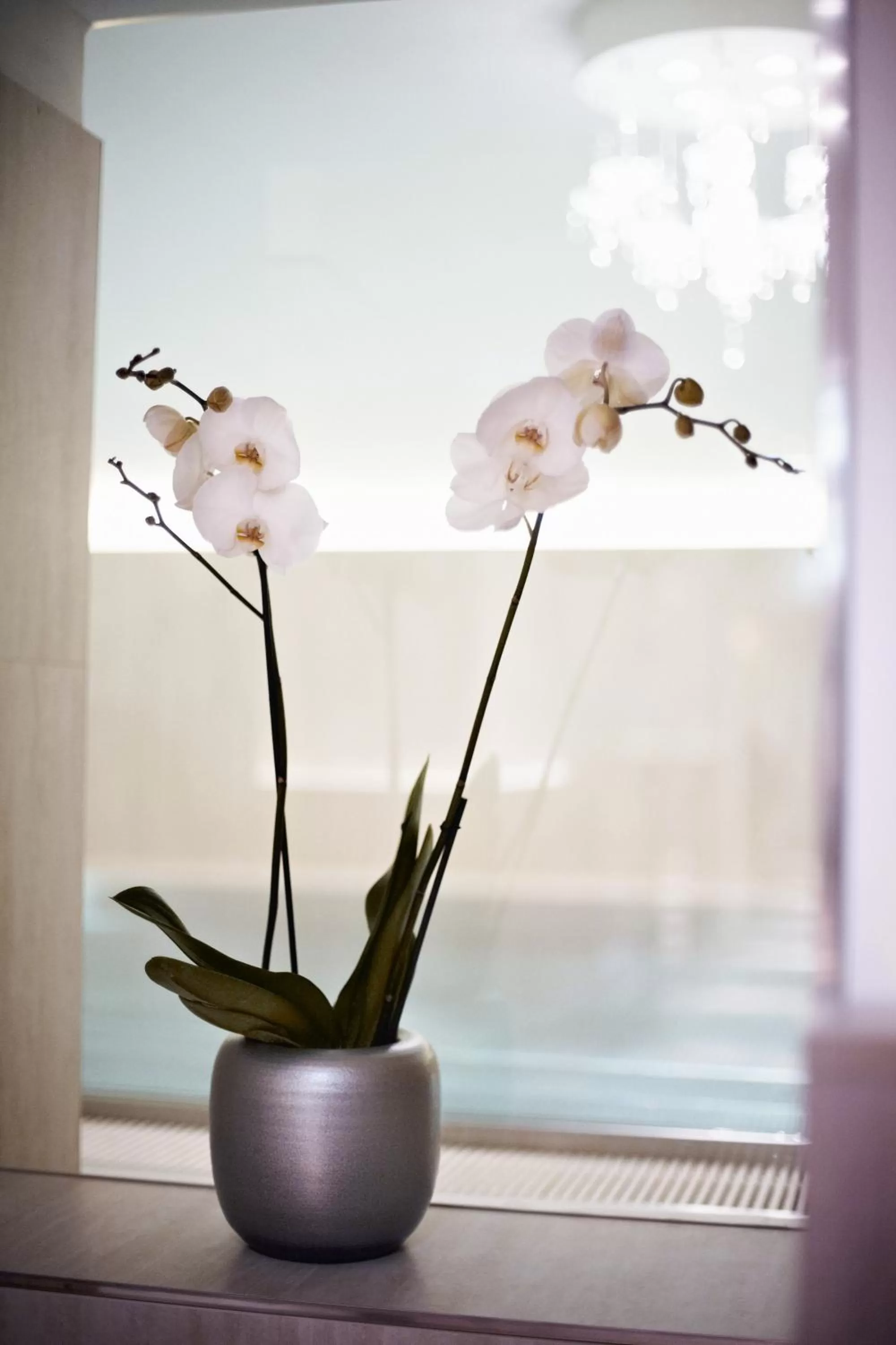 Decorative detail in Hotel Sans Souci Wien