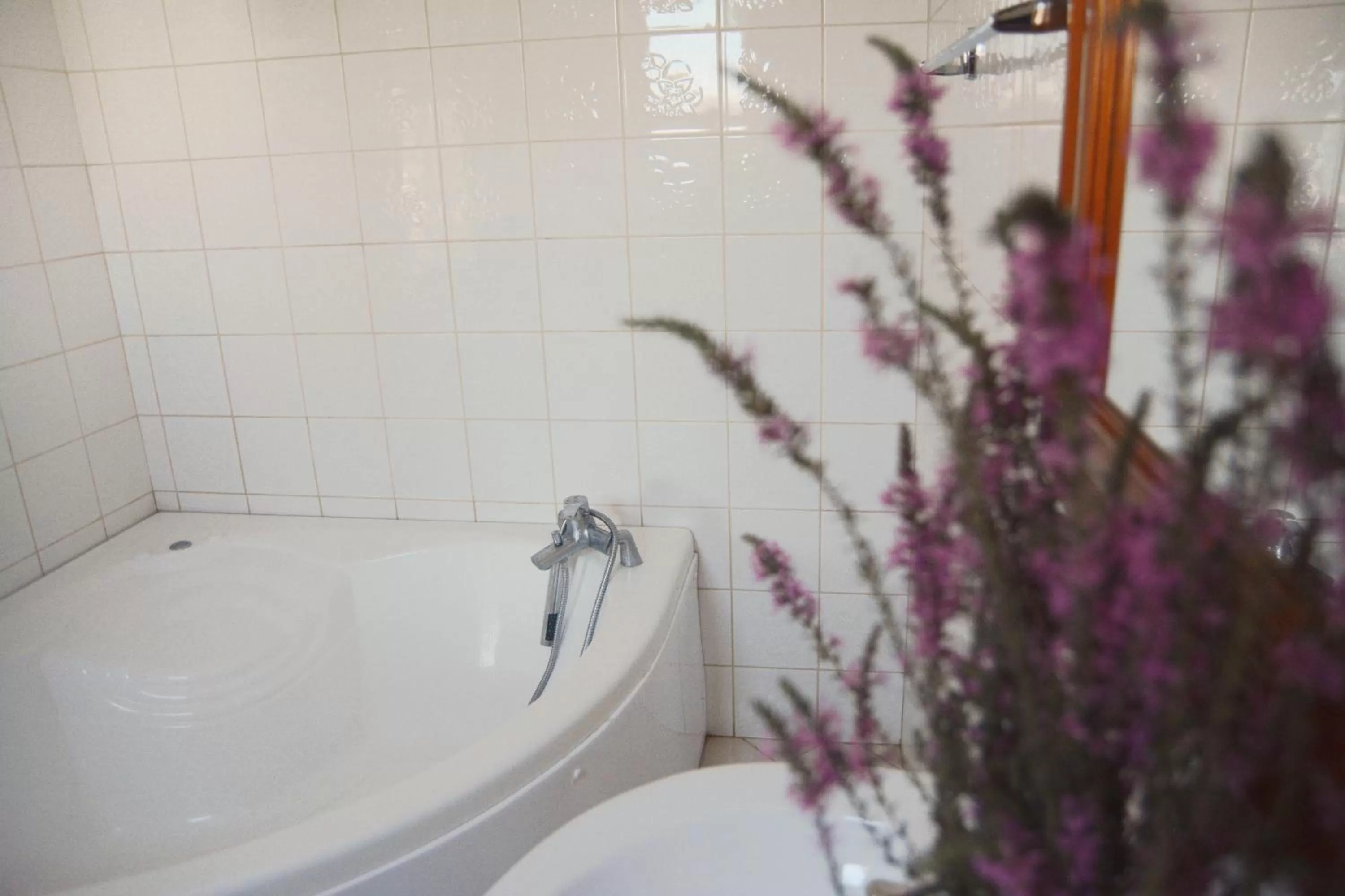 Bathroom in Hotel Floga