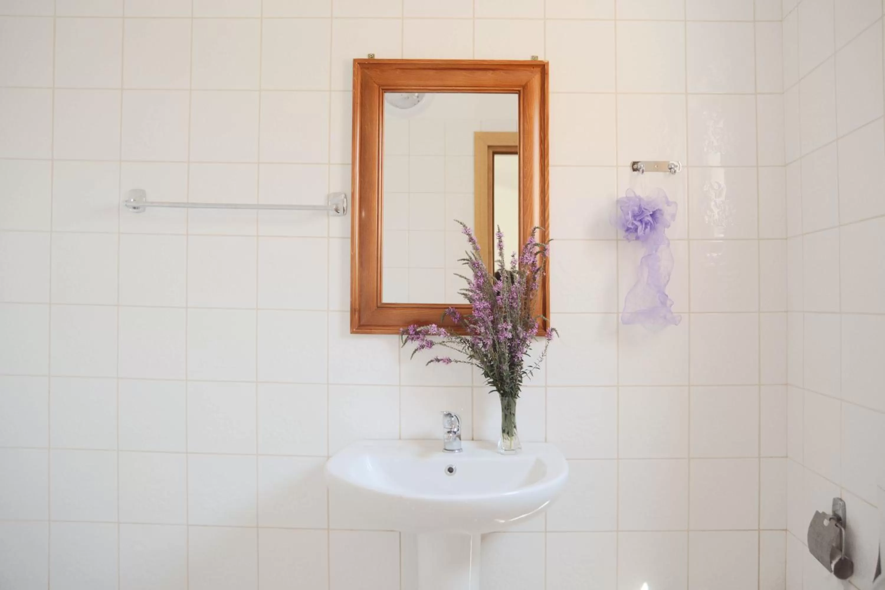 Bathroom in Hotel Floga