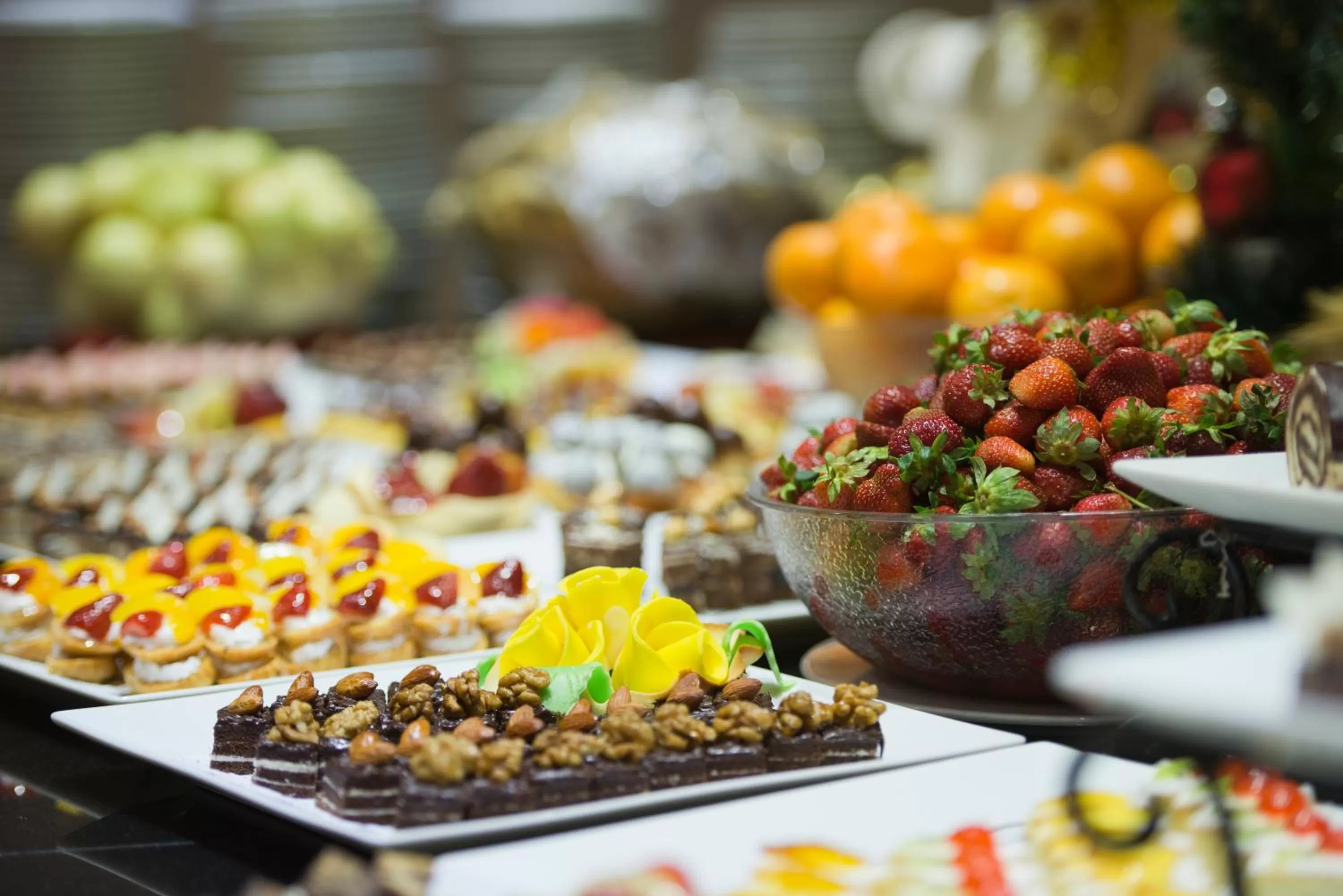 Food in Amphoras Blu Ultra-AI Adults Friendly