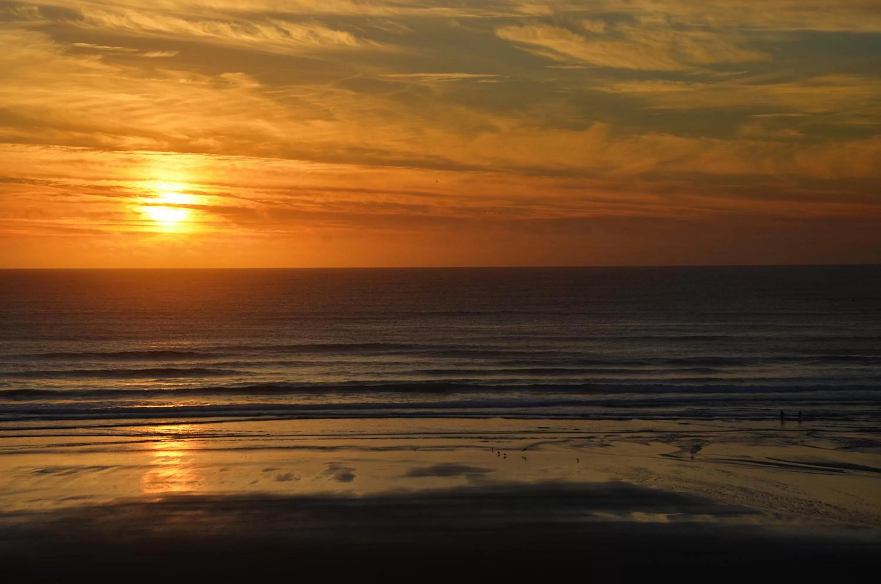 Natural landscape in Agate Beach Motel