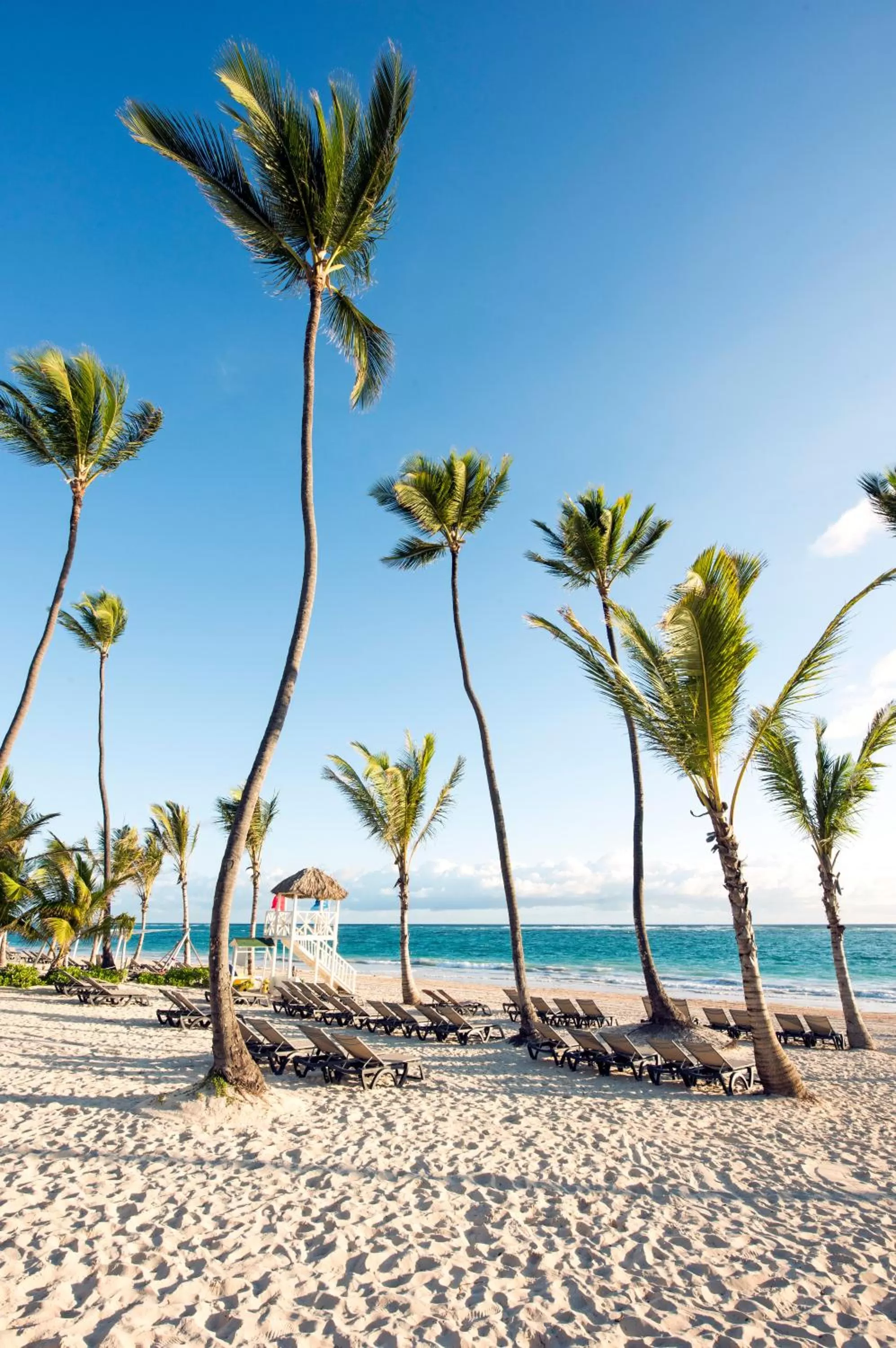 Beach in Occidental Punta Cana - All Inclusive