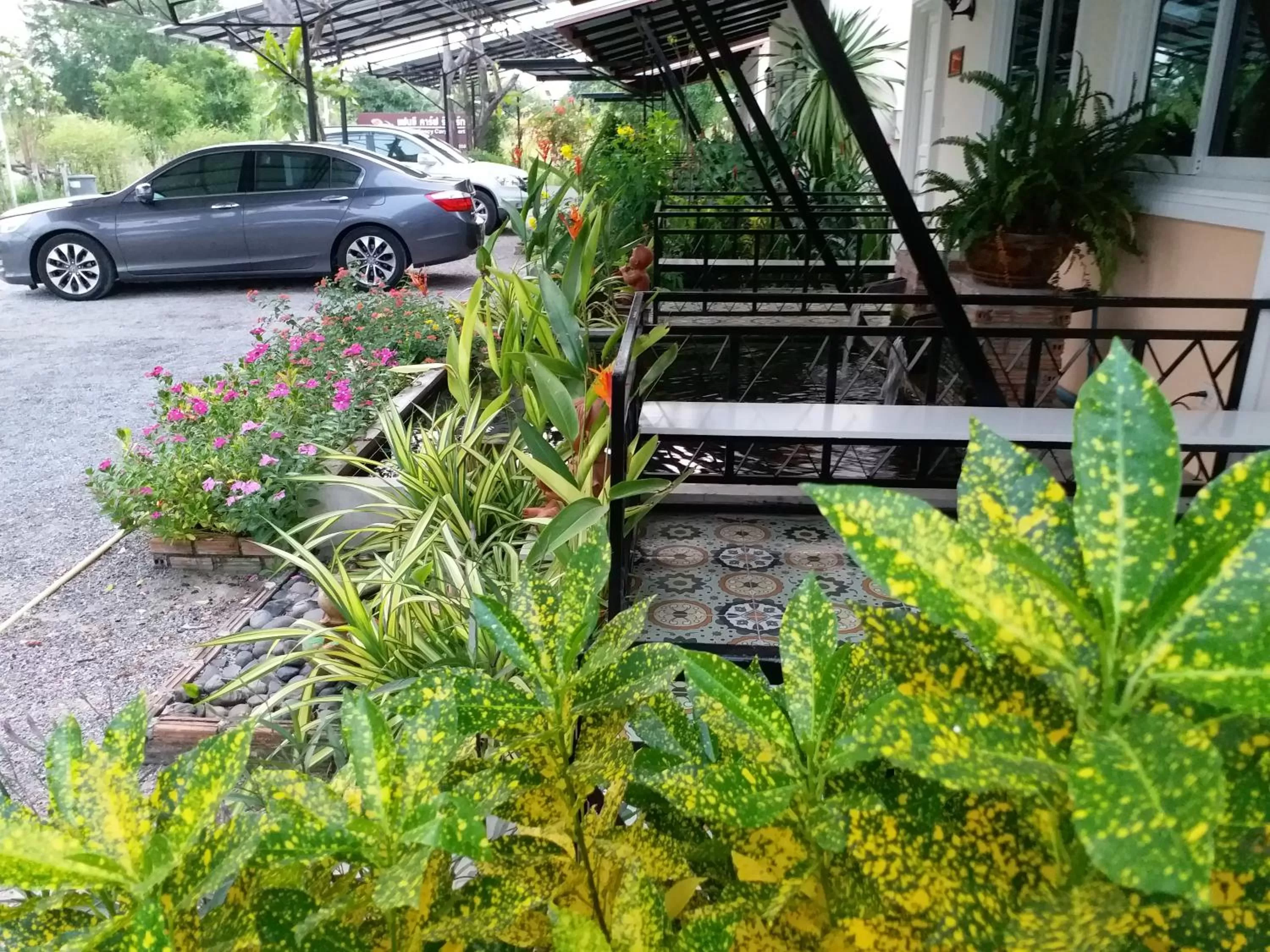 Natural landscape in Fancy Carp Resort