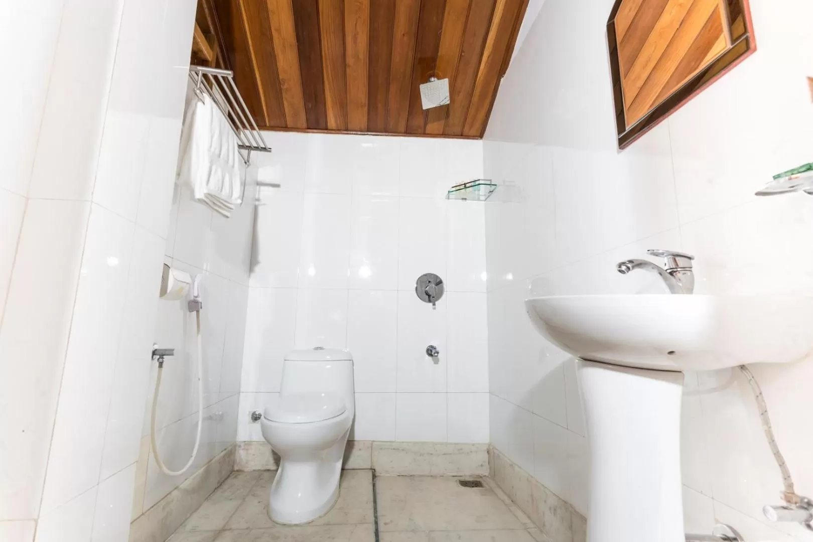 Bathroom in Zone Niathu Dimapur By The Park