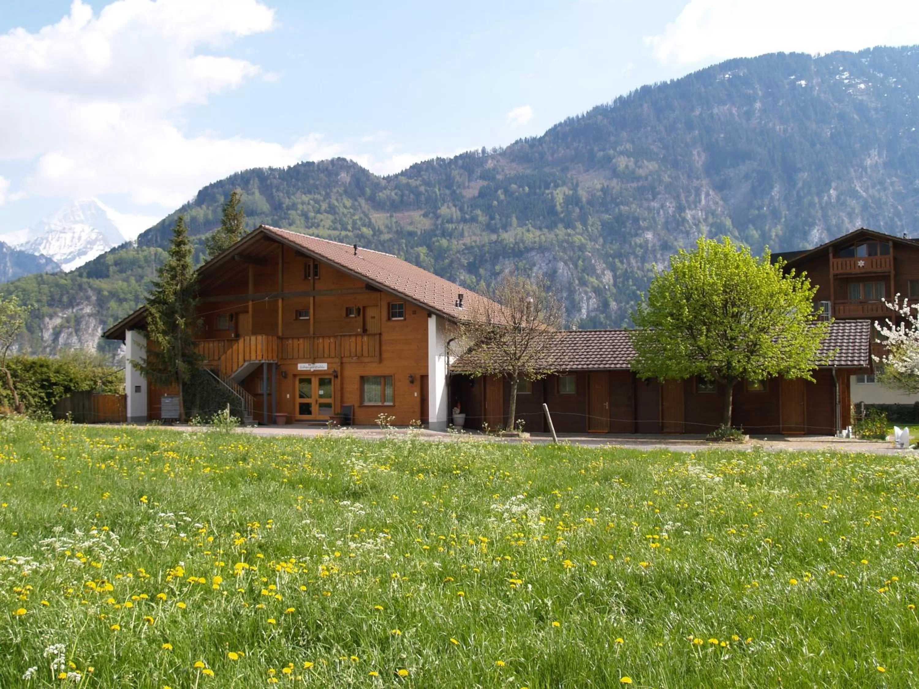 Garden in Salzano Basic Rooms Interlaken