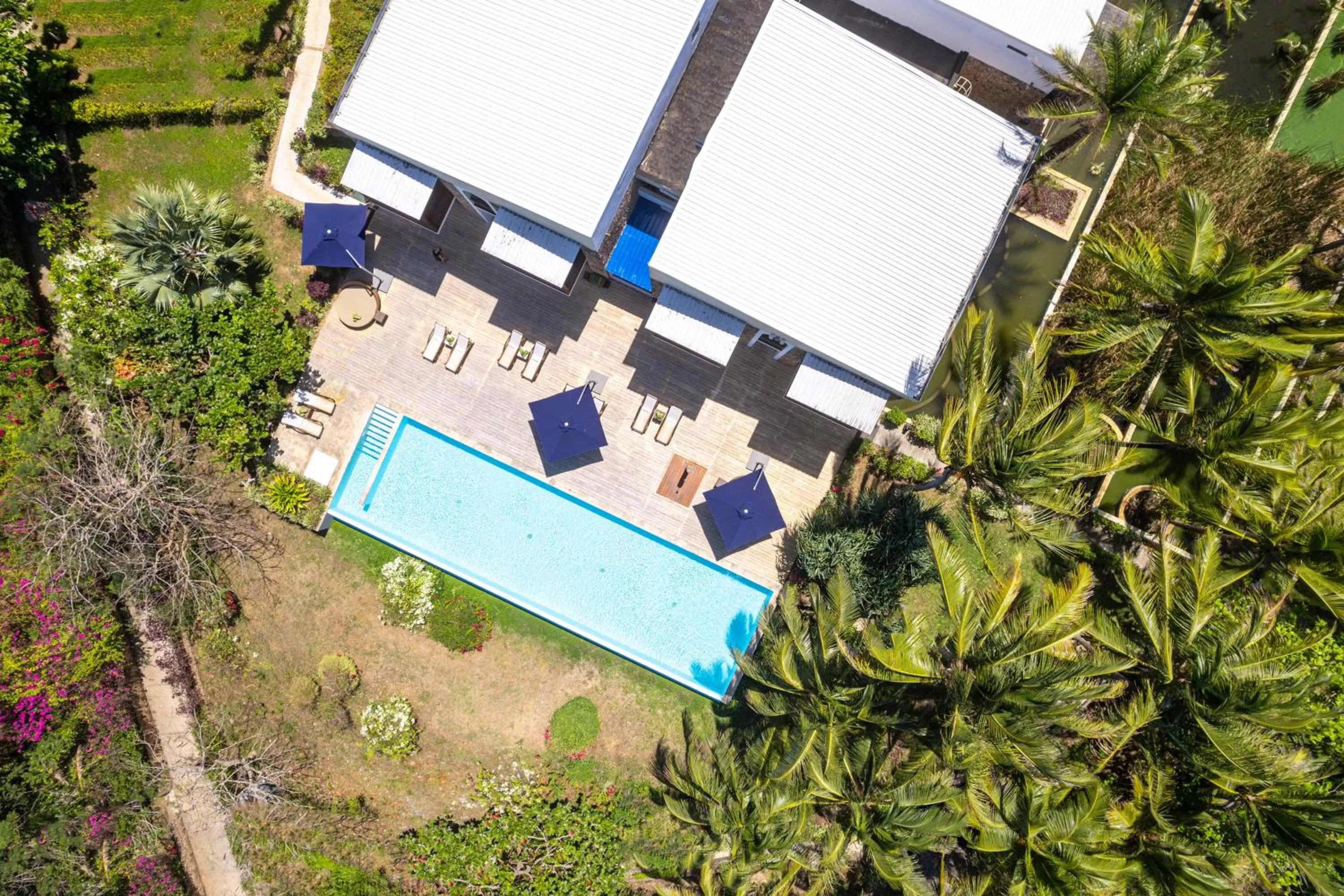 Swimming pool in Melia Zanzibar