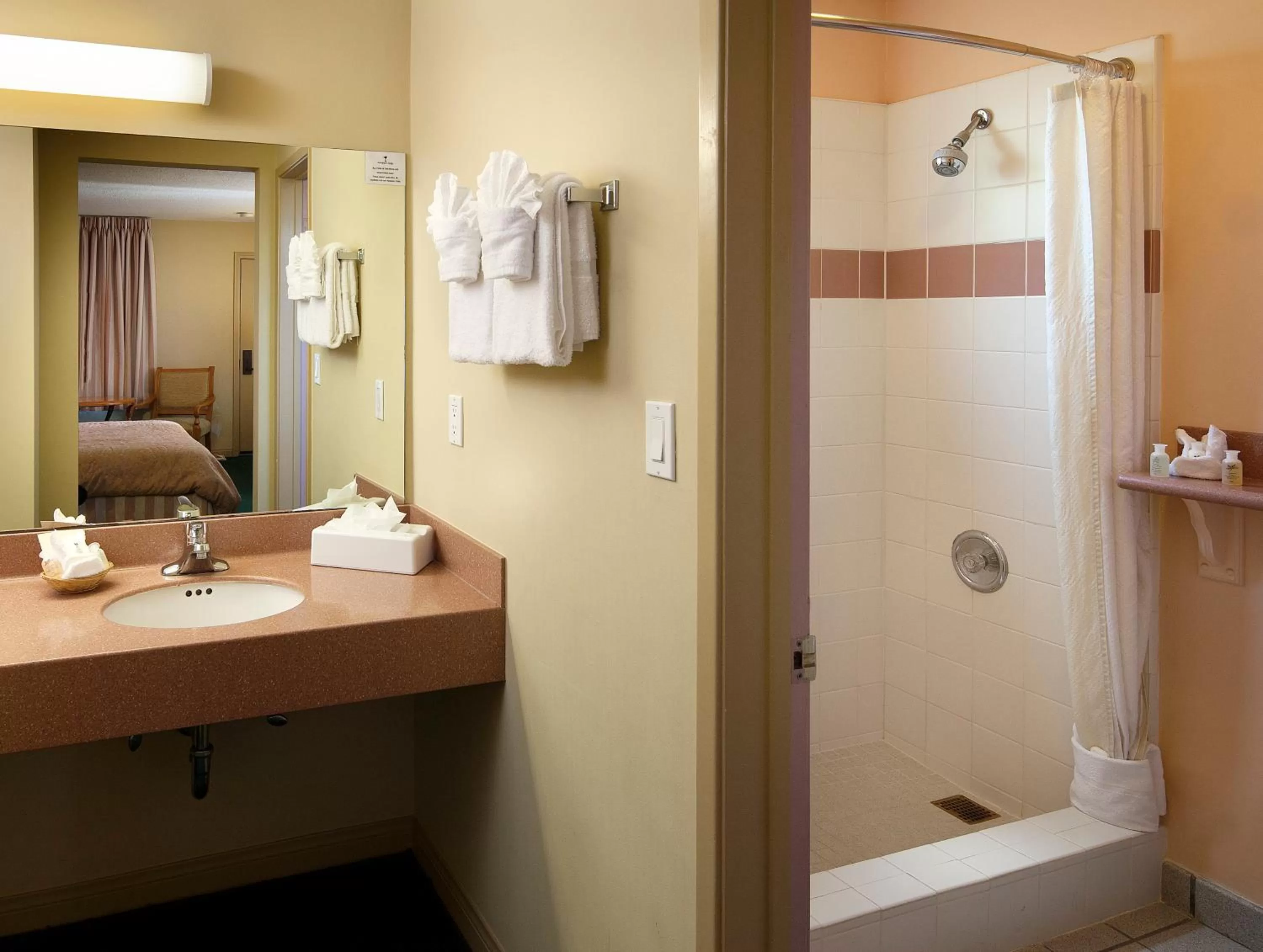 Bathroom in Sandpiper Lodge - Santa Barbara