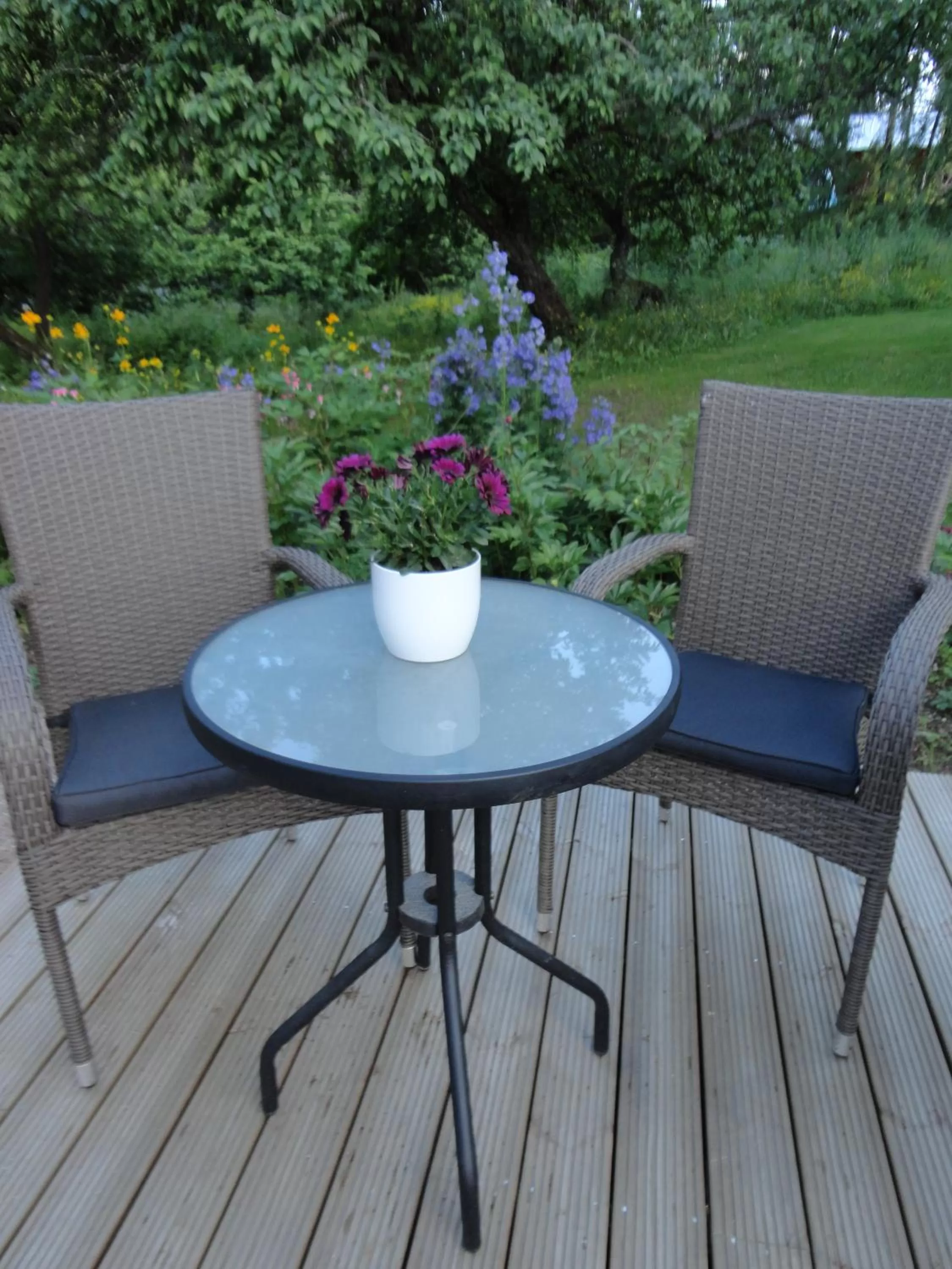 Balcony/Terrace, Seating Area in Varjola Holiday Center